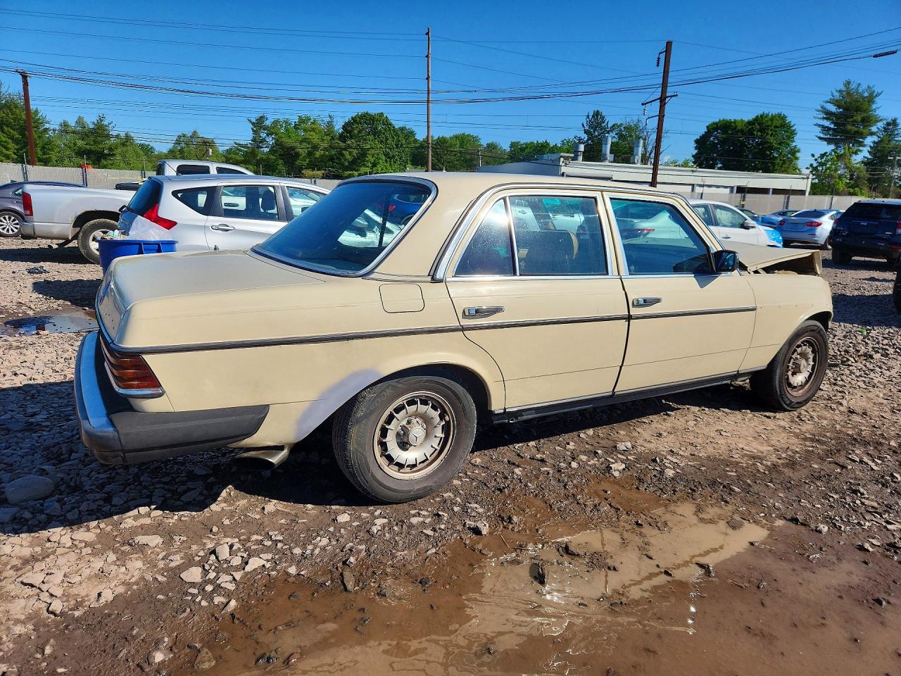 1983 Mercedes-benz 300 Dt Beige vin: WDBAB33A1DB019167