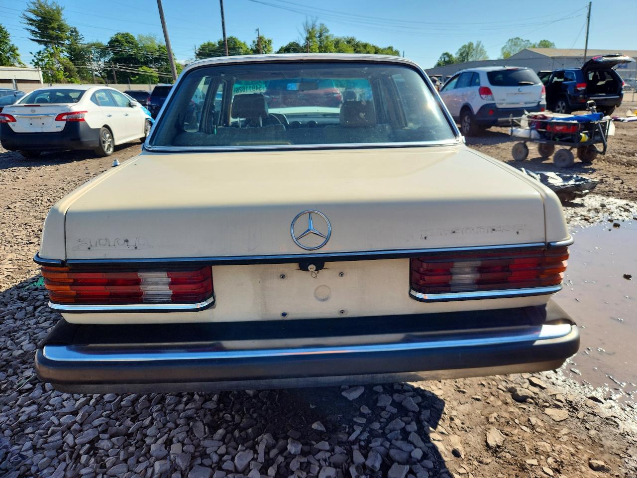 1983 Mercedes-benz 300 Dt Beige vin: WDBAB33A1DB019167