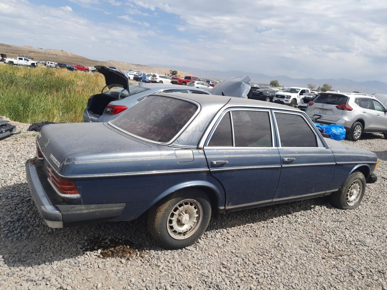 1982 Mercedes-benz 300 Dt Blue vin: WDBAB33A2CB000769