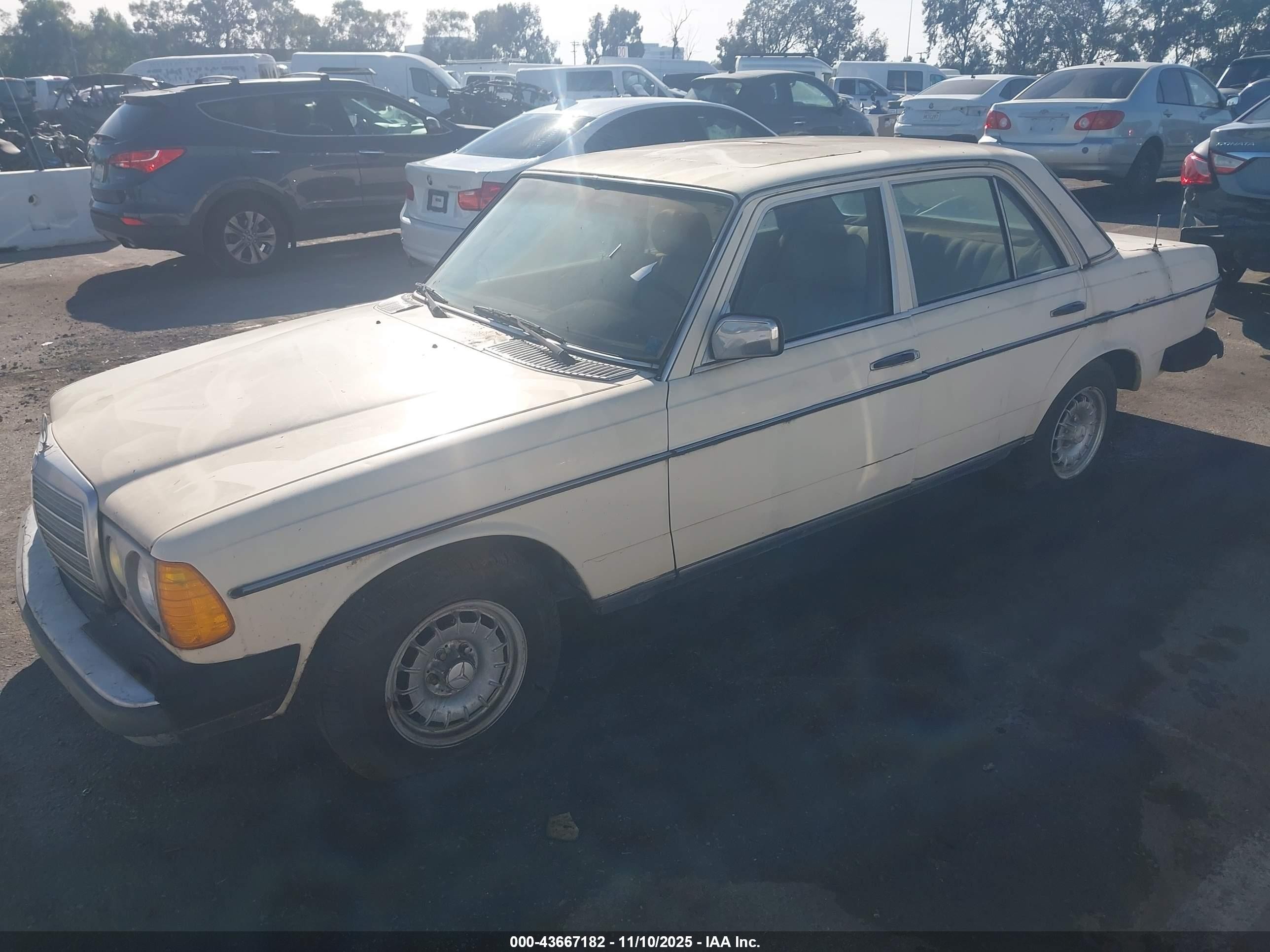 1982 Mercedes-benz 300 Dt White vin: WDBAB33A5CB001513