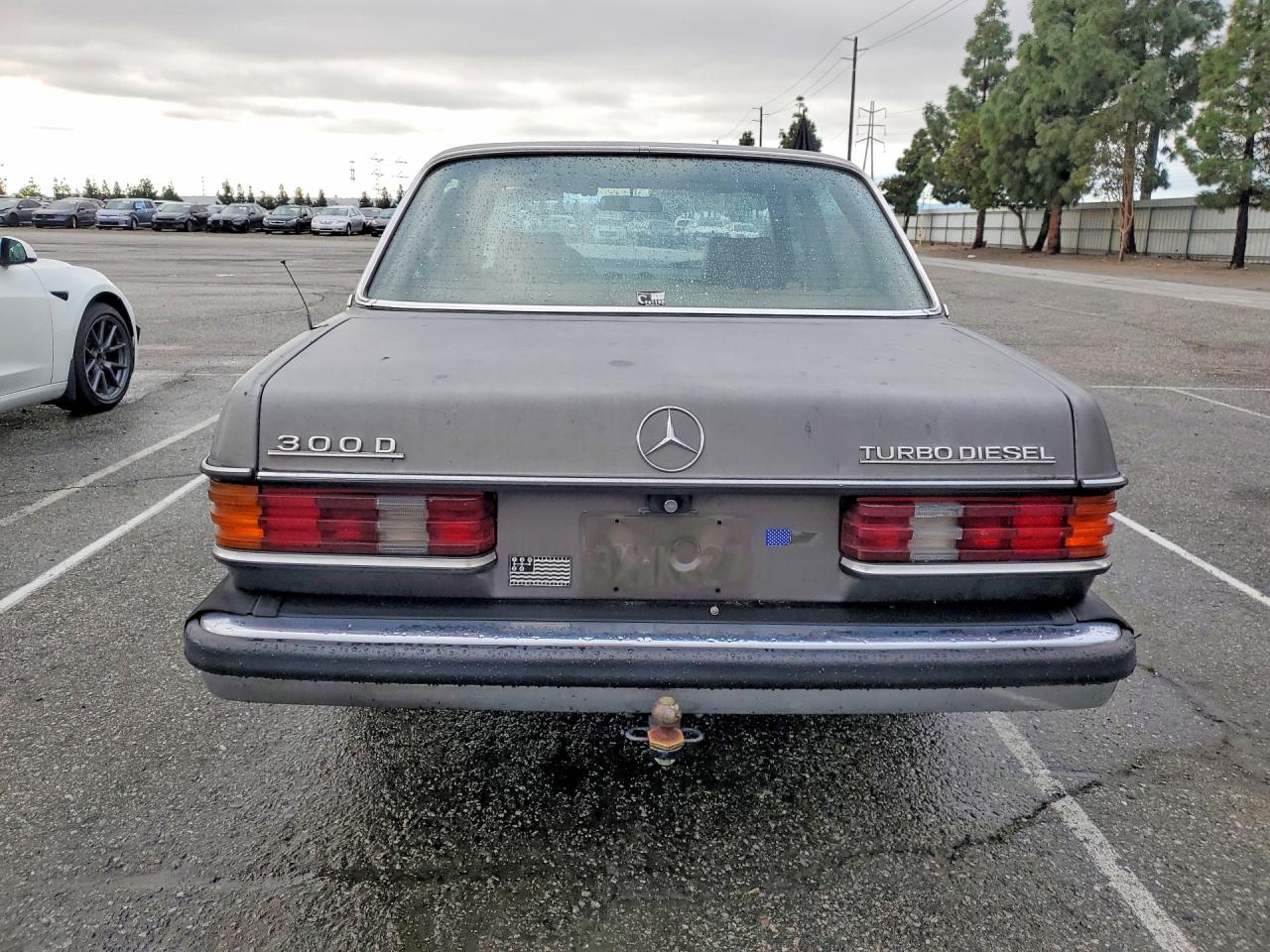 1982 Mercedes-benz 300 Dt Gray vin: WDBAB33A9CB002616