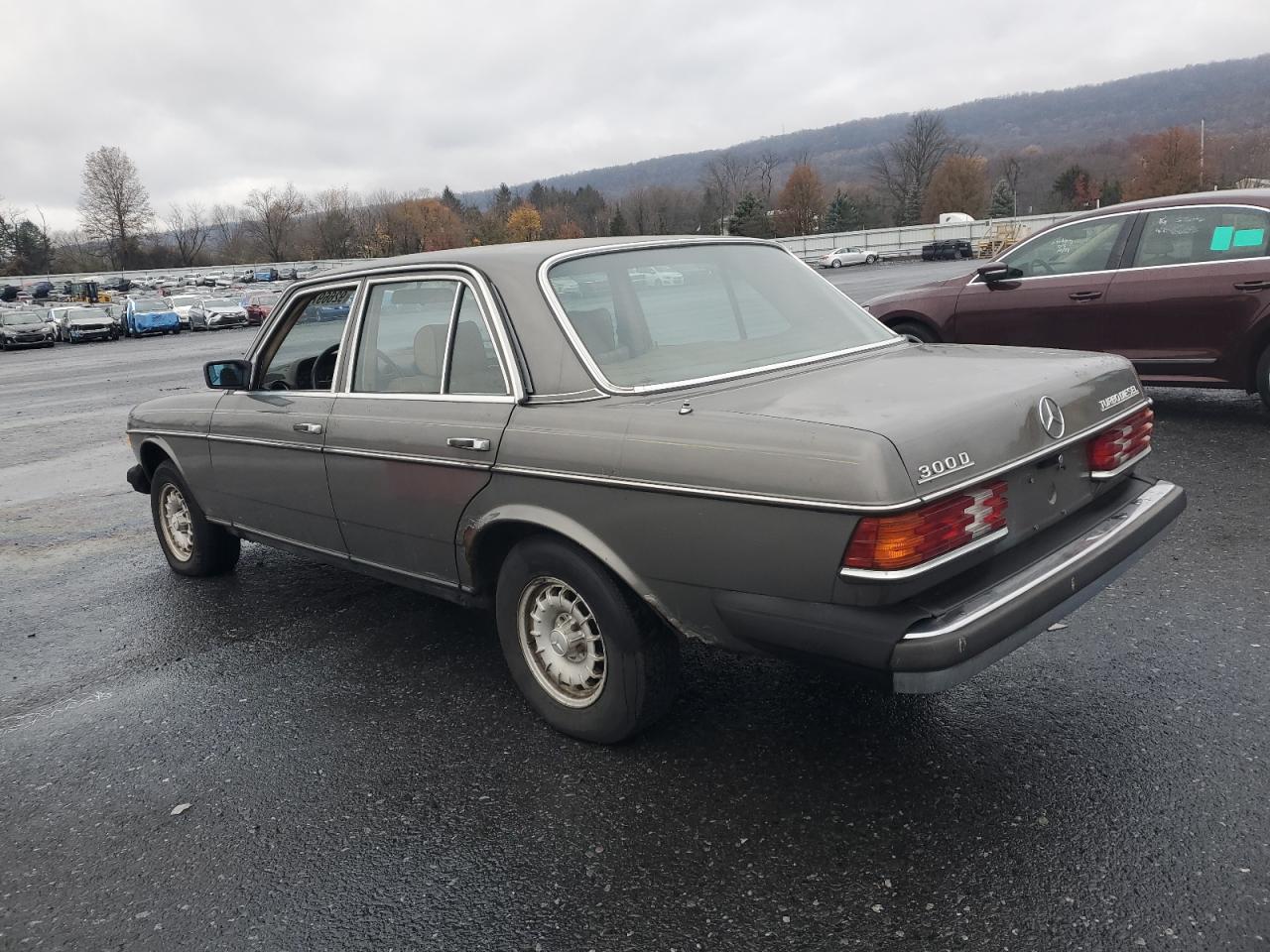 1983 Mercedes-benz 300 Gray vin: WDBAB33A9DB023449