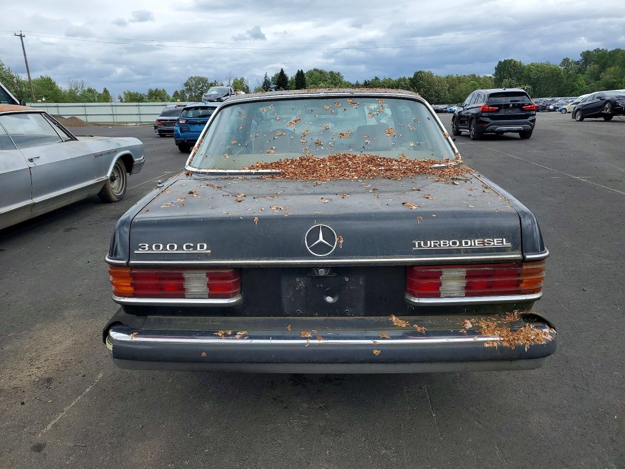 1982 Mercedes-benz 300 Cdt Black vin: WDBAB53A6CB001466
