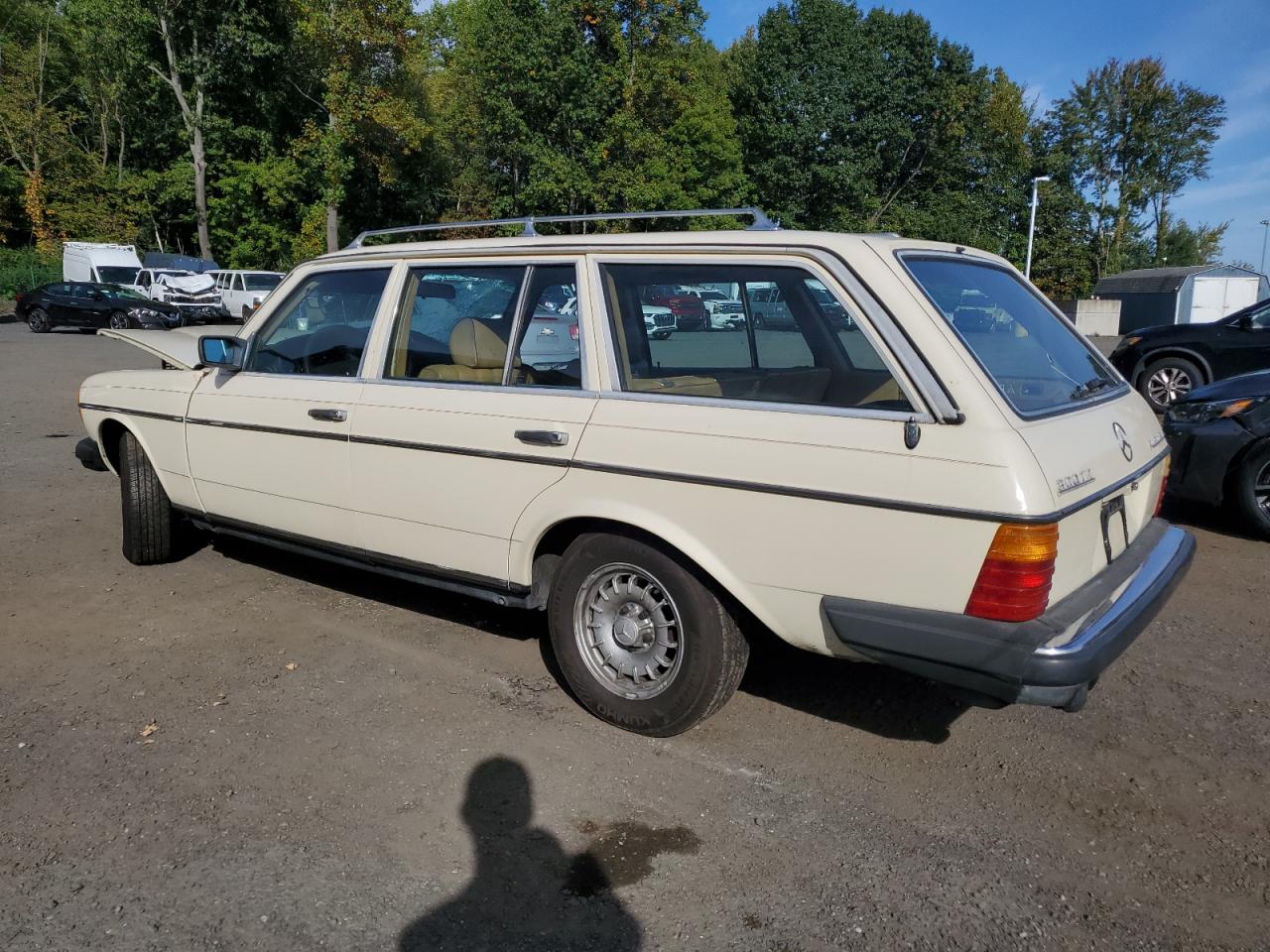 1983 Mercedes-benz 300 Tdt Beige vin: WDBAB93AXDN017015