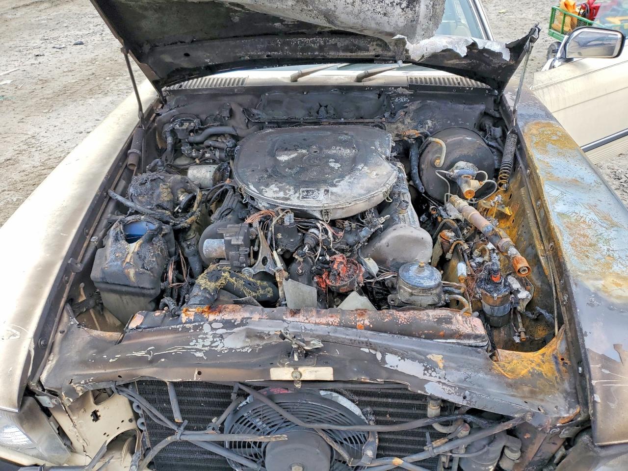 1984 Mercedes-benz 380 Sl Бежевый vin: WDBBA45A4EA005295