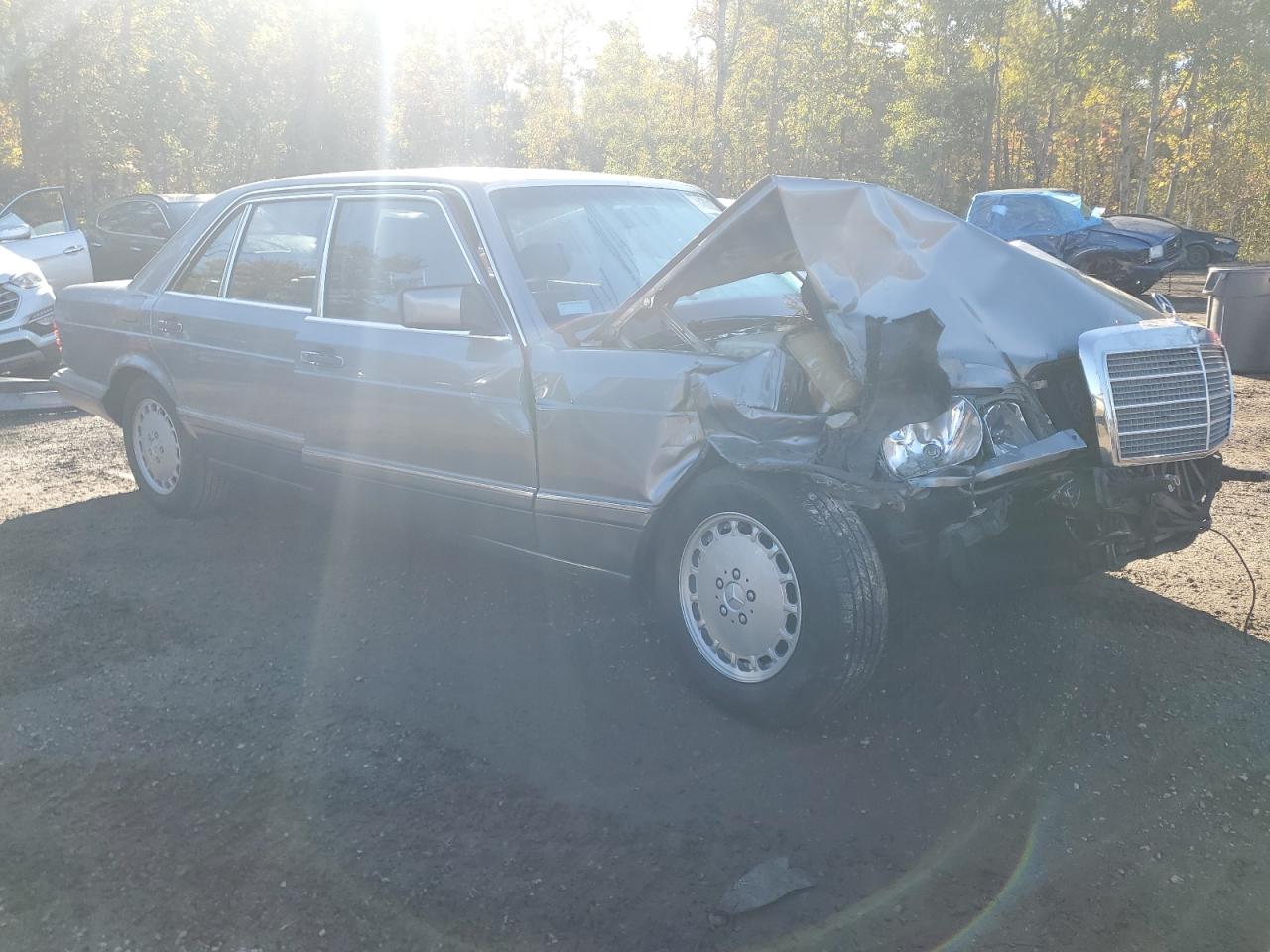1989 Mercedes-benz 300 Sel Бежевый vin: WDBCA25D2KA439276