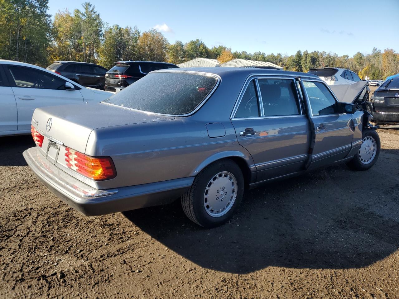 1989 Mercedes-benz 300 Sel Бежевый vin: WDBCA25D2KA439276