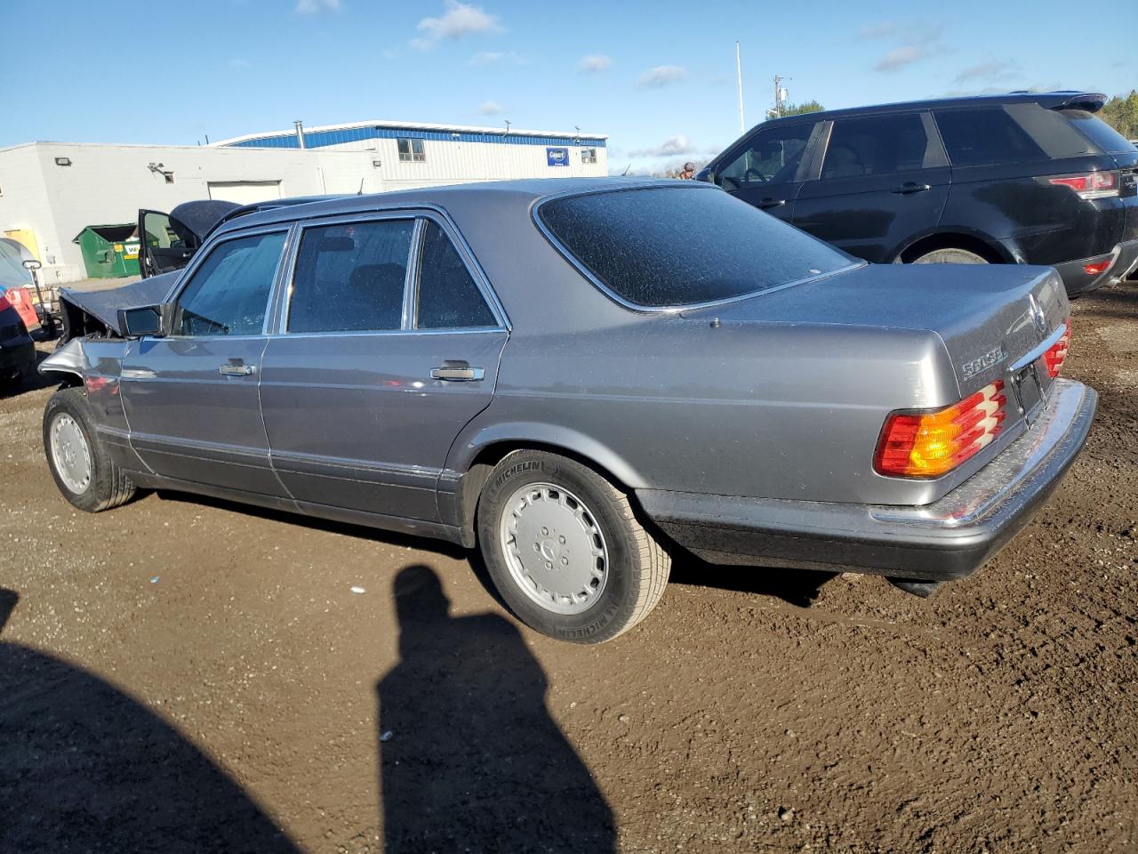 1989 Mercedes-benz 300 Sel Бежевый vin: WDBCA25D2KA439276