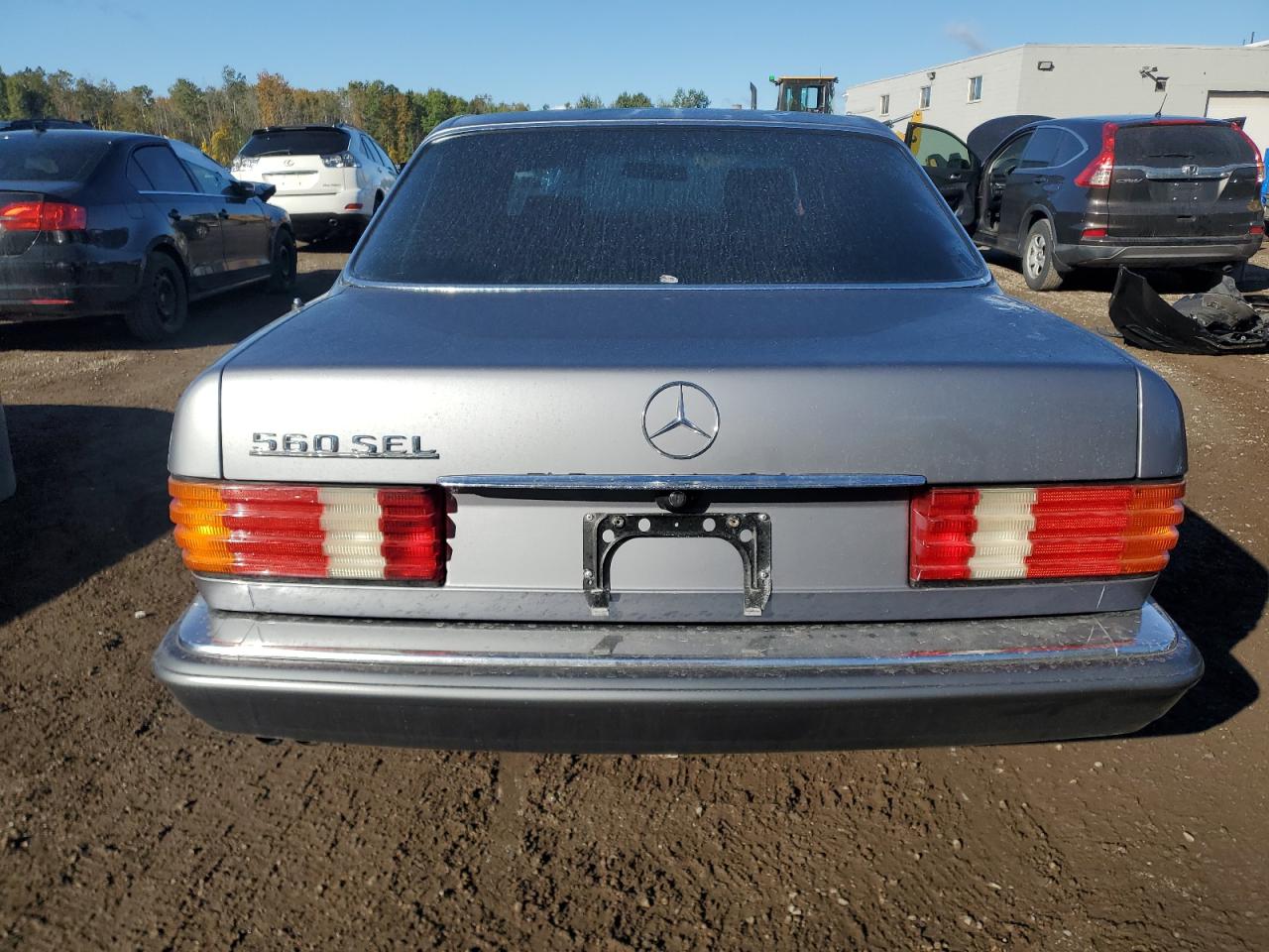 1989 Mercedes-benz 300 Sel Бежевый vin: WDBCA25D2KA439276