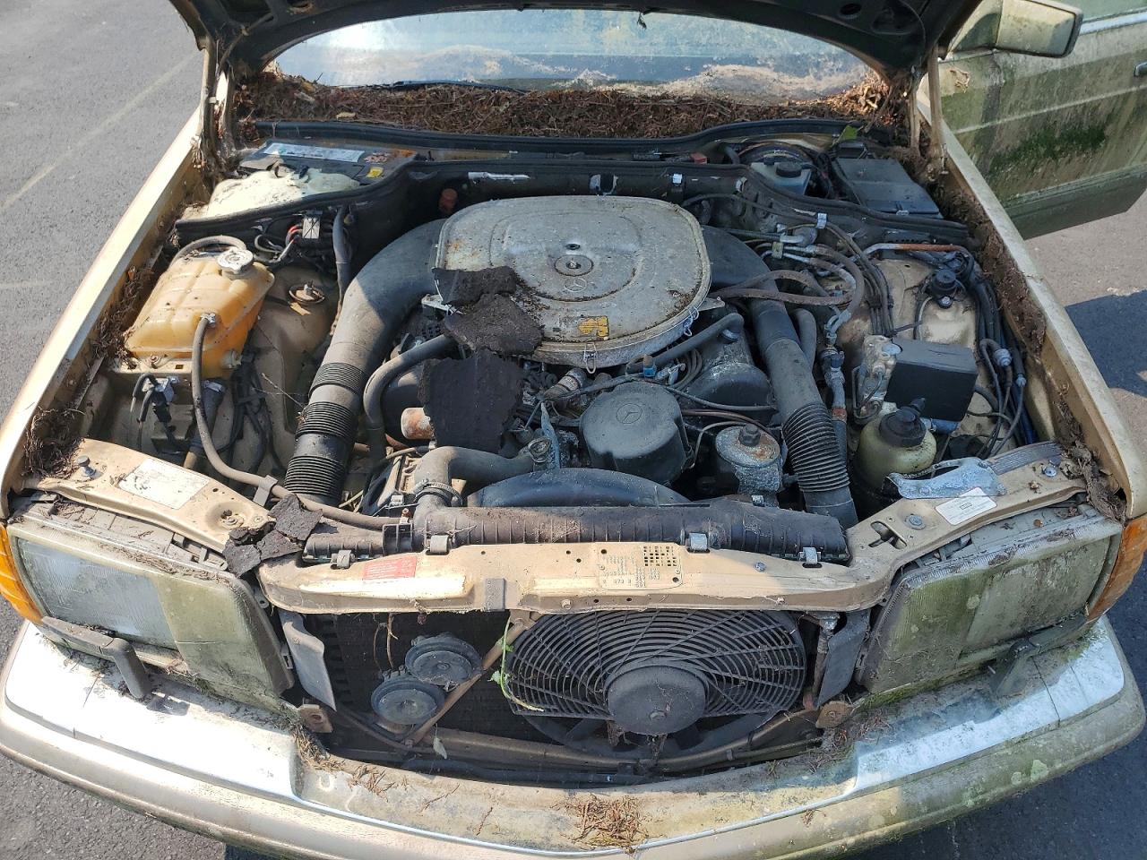 1986 Mercedes-benz 560 Sel Желто-коричневый vin: WDBCA39D5GA212428