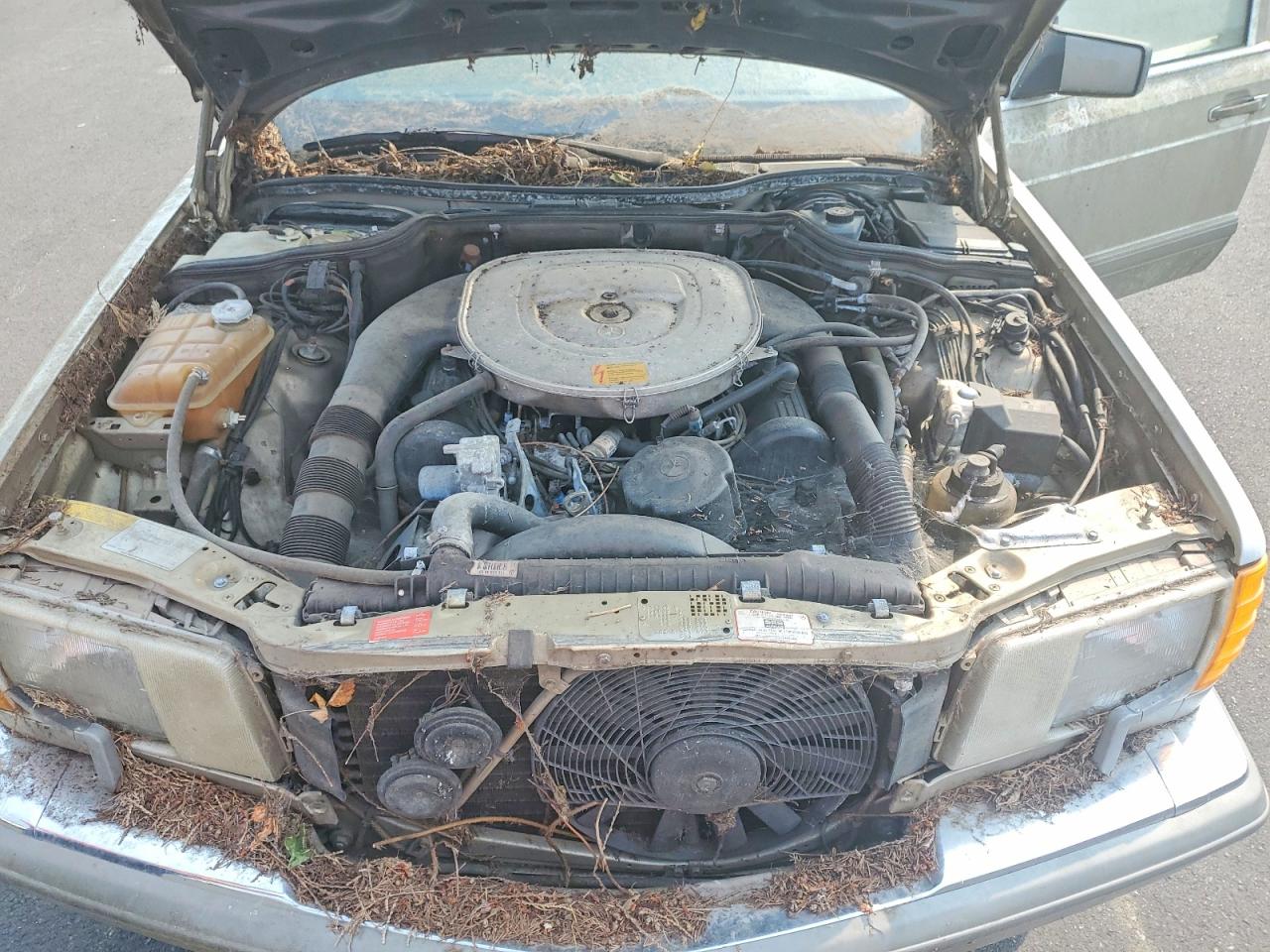 1989 Mercedes-benz 560 Sel Cream vin: WDBCA39E6KA459166