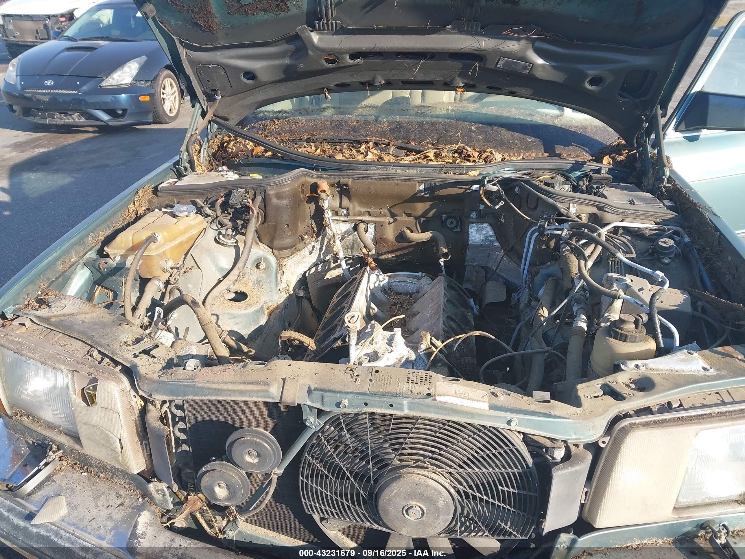1989 Mercedes-benz 560 Sel Light Blue vin: WDBCA39E6KA462035