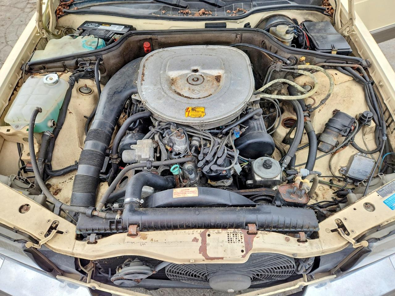 1982 Mercedes-benz 380 Sec Cream vin: WDBCA43A6CB003188