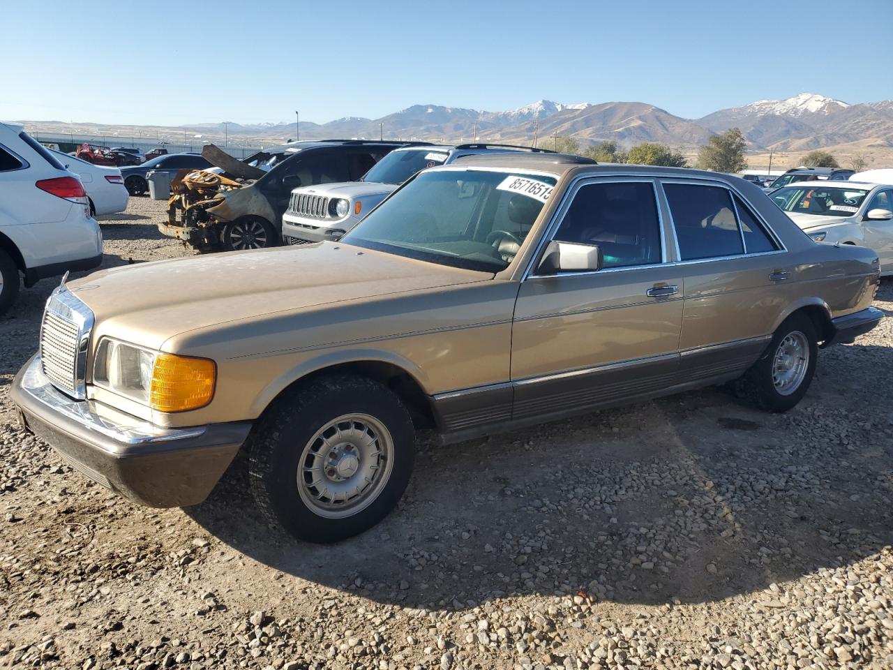 1983 Mercedes-benz 300 Sd Beige vin: WDBCB20A0DB050904