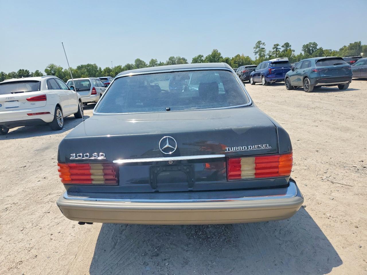 1985 Mercedes-benz 300 Gray vin: WDBCB20C0FA124834