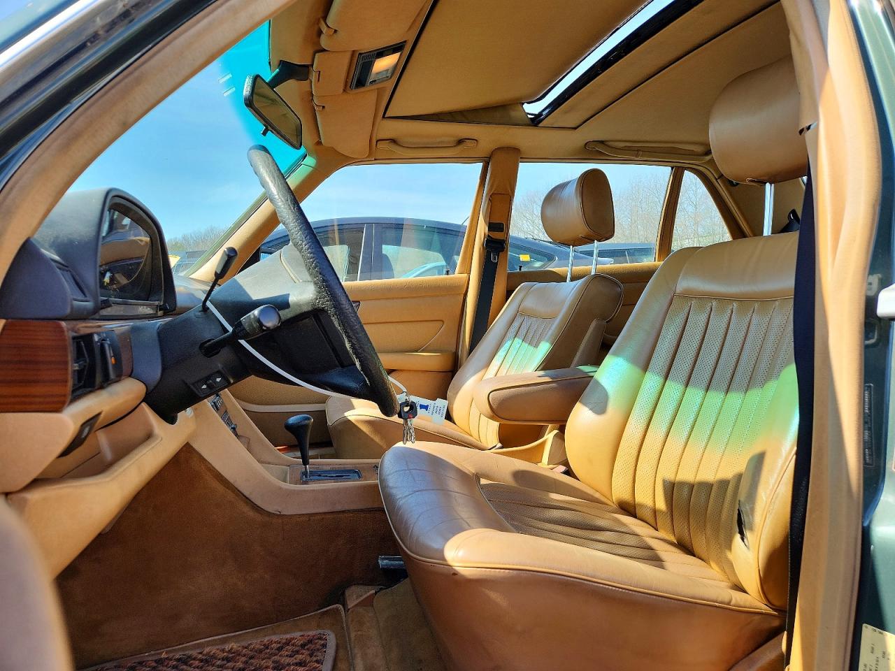 1987 Mercedes-benz 300 Sdl Green vin: WDBCB25D1HA291577