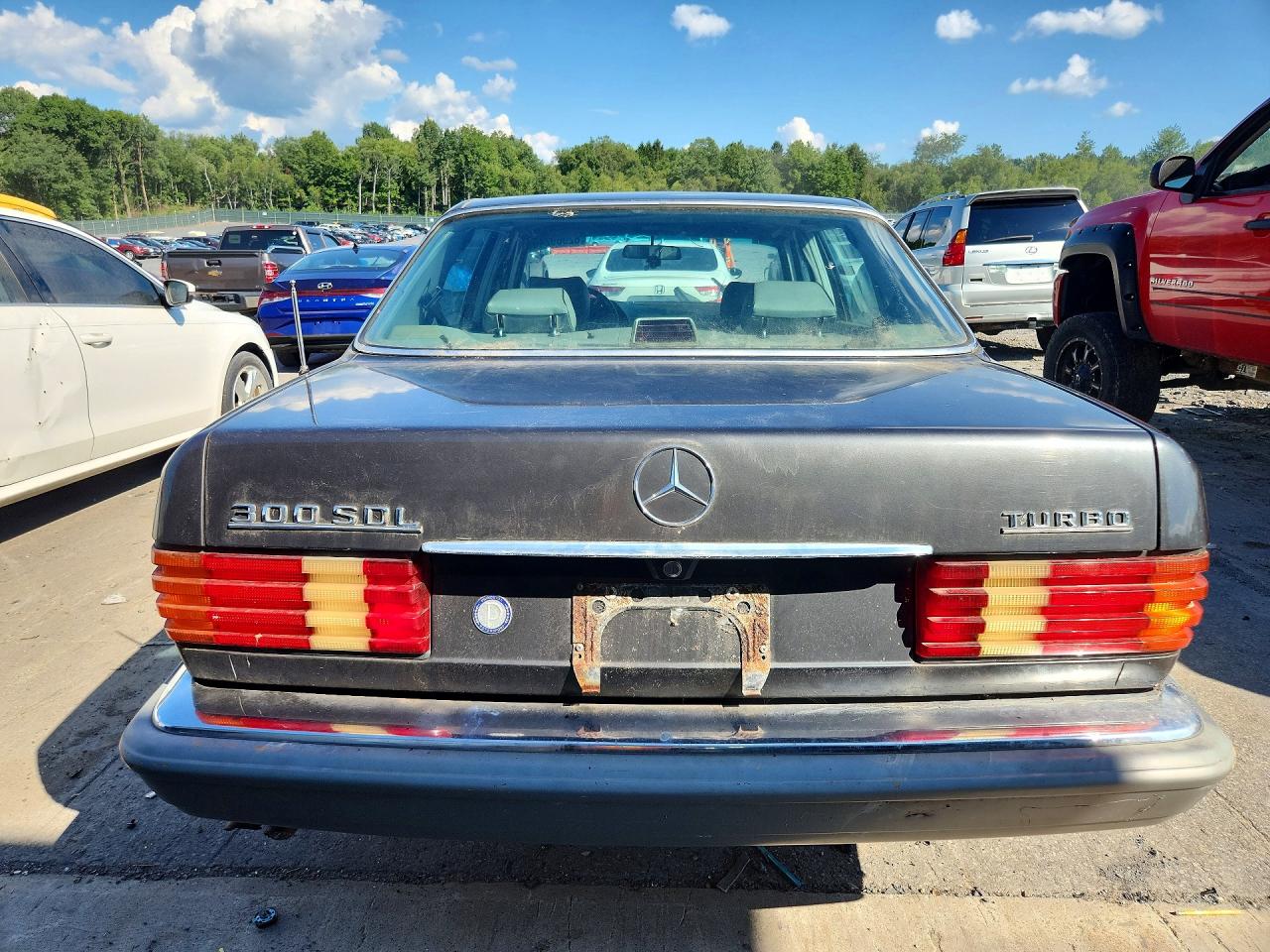 1987 Mercedes-benz 300 Sdl Серый vin: WDBCB25D1HA309818