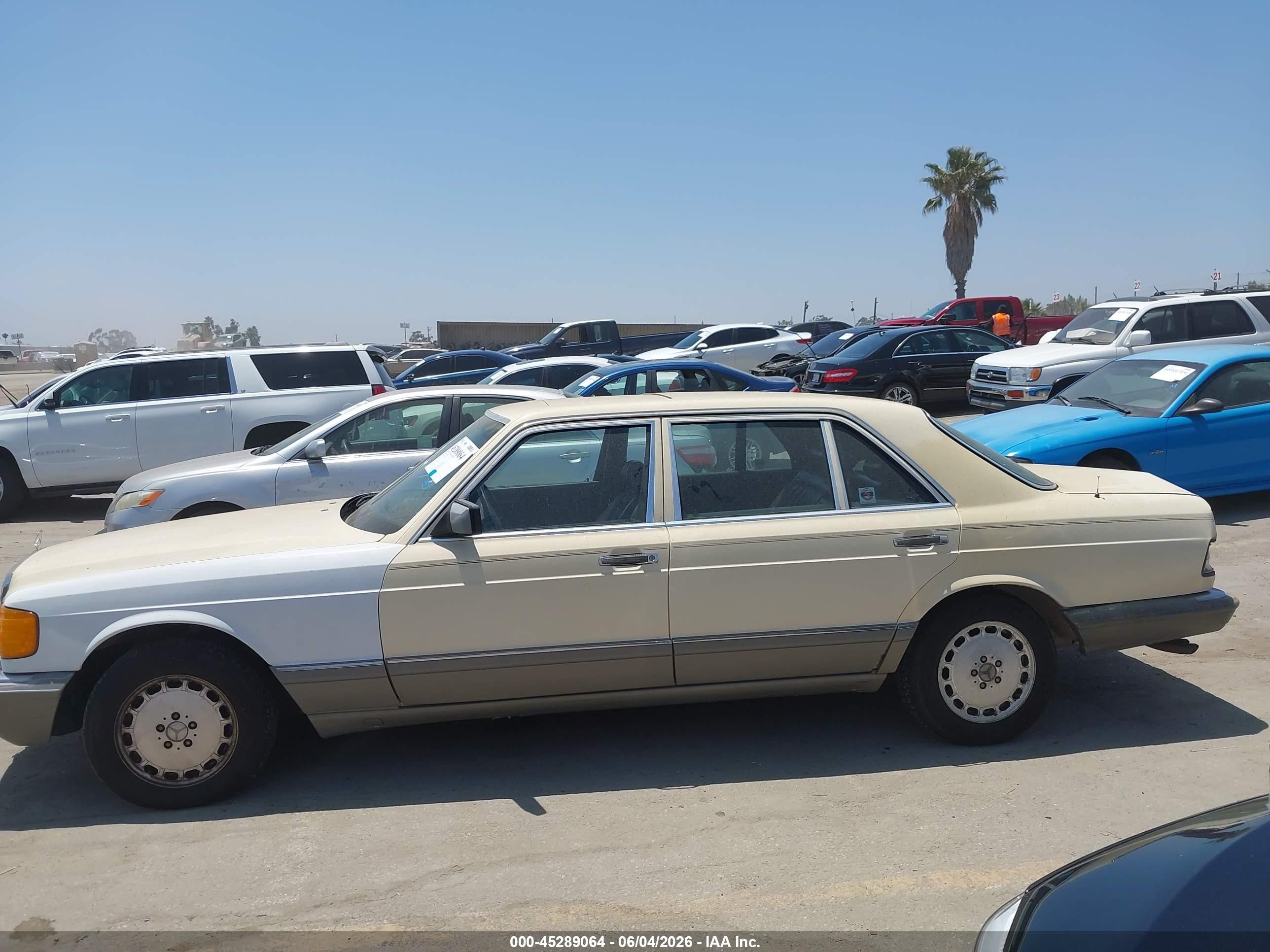 1987 Mercedes-benz 300 Sdl Кремовый vin: WDBCB25D8HA327376