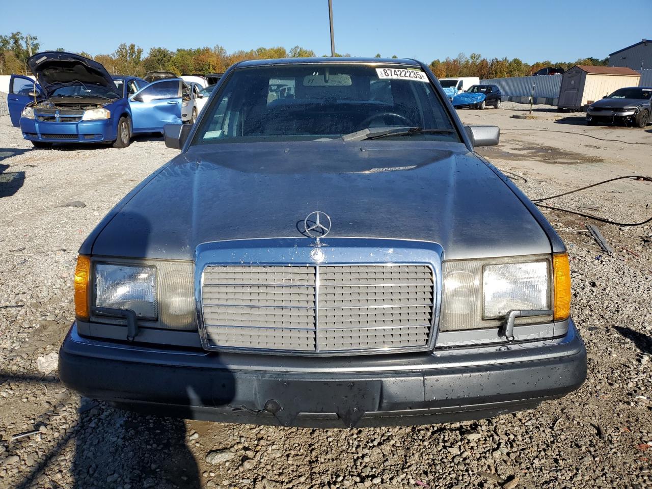 1990 Mercedes-benz 300 E Серый vin: WDBEA30D7LB270339