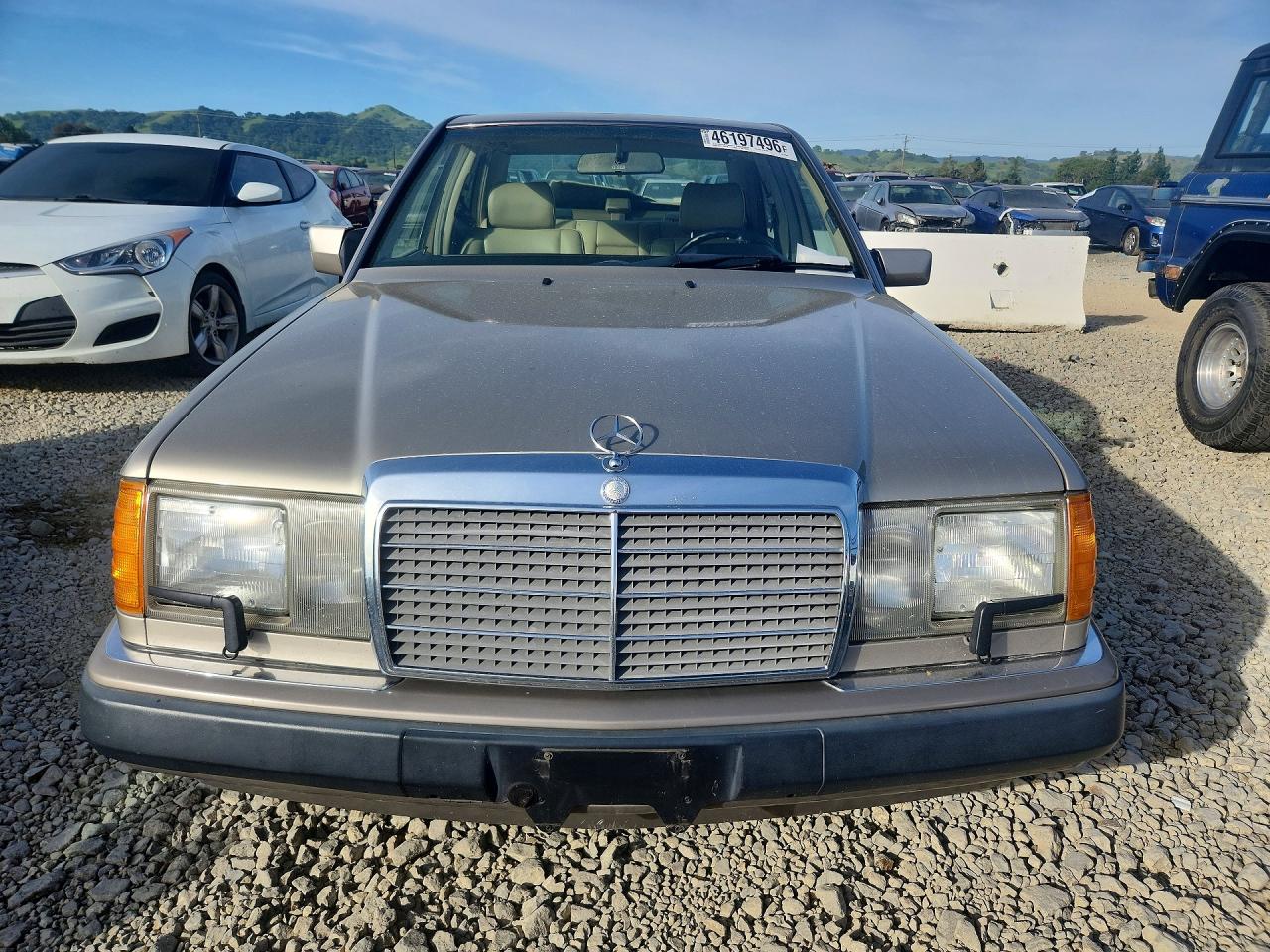 1992 Mercedes Benz 300 Tan vin: WDBEA30E2NB675892