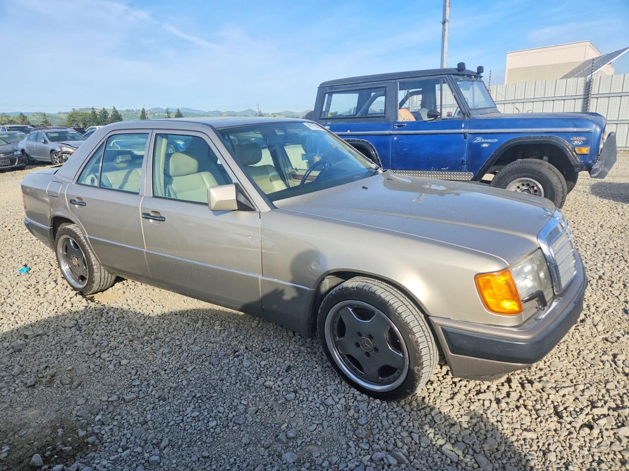 1992 Mercedes Benz 300 Tan vin: WDBEA30E2NB675892