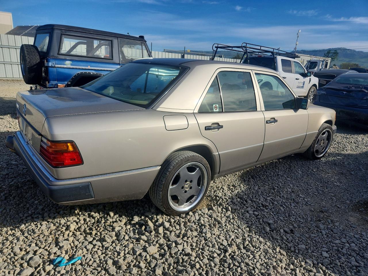 1992 Mercedes Benz 300 Tan vin: WDBEA30E2NB675892