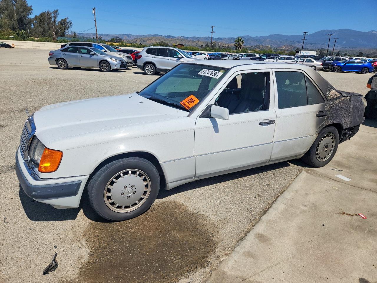1993 Mercedes-benz 300 D White vin: WDBEB28E5PB981581