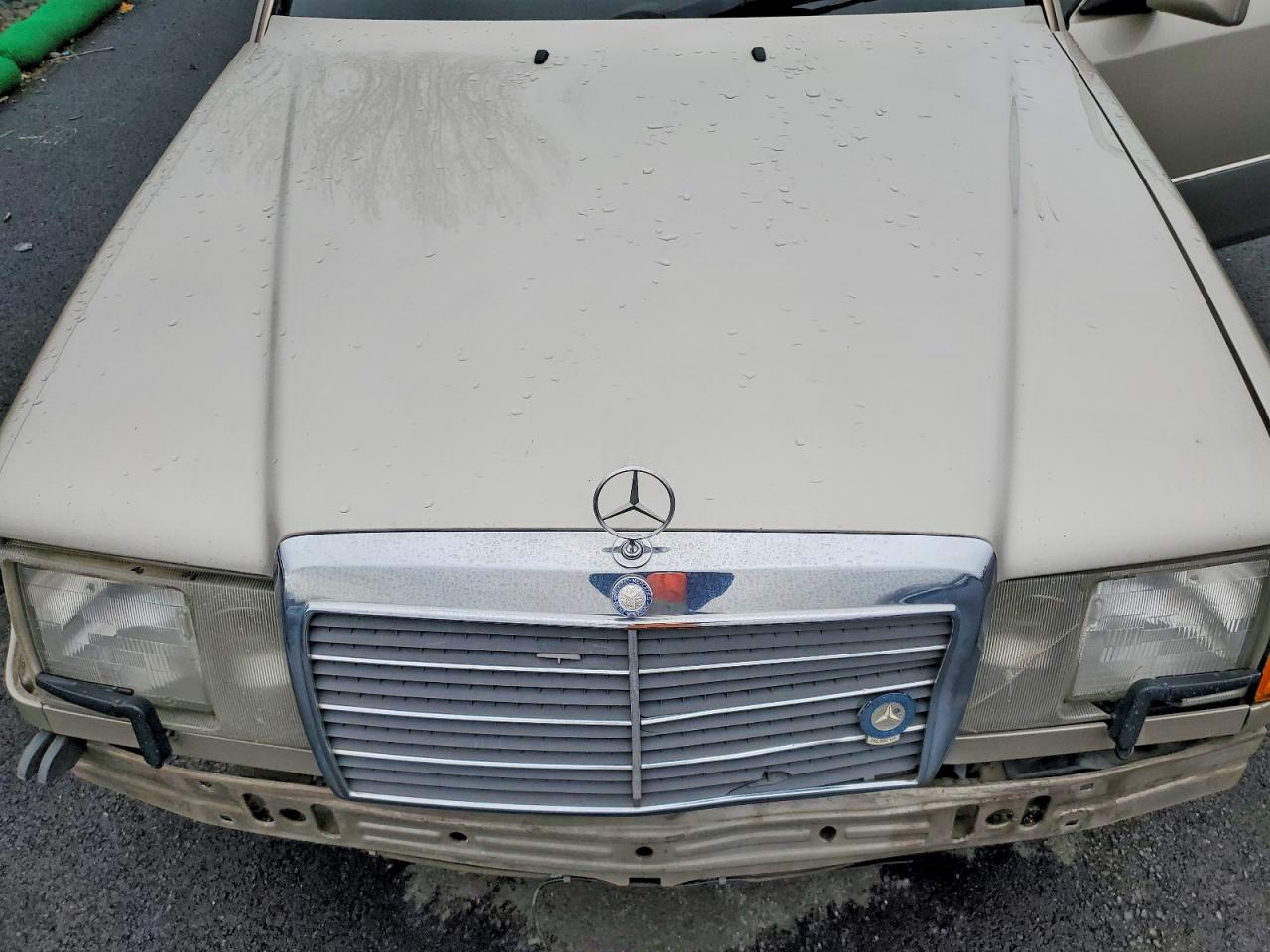 1993 Mercedes-benz 300 D Желто-коричневый vin: WDBEB28E9PB893598