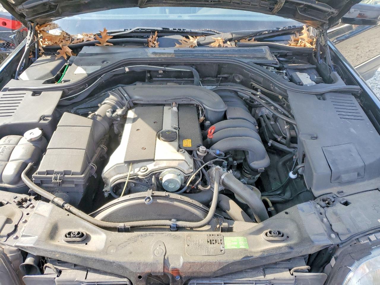 1997 Mercedes-benz S 320 Черный vin: WDBGA33E6VA328821