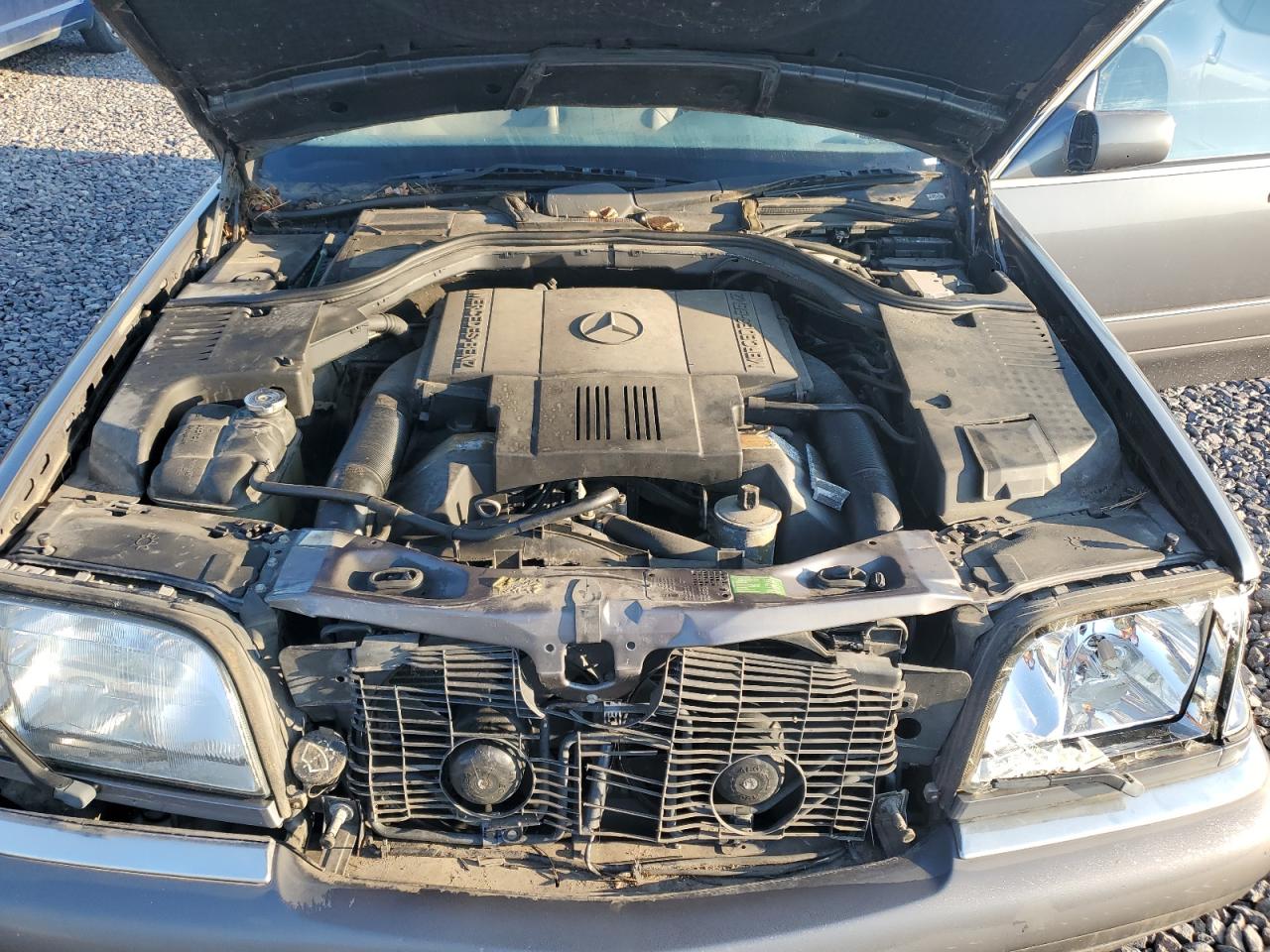 1995 Mercedes-benz S 420 Gray vin: WDBGA43E1SA238056