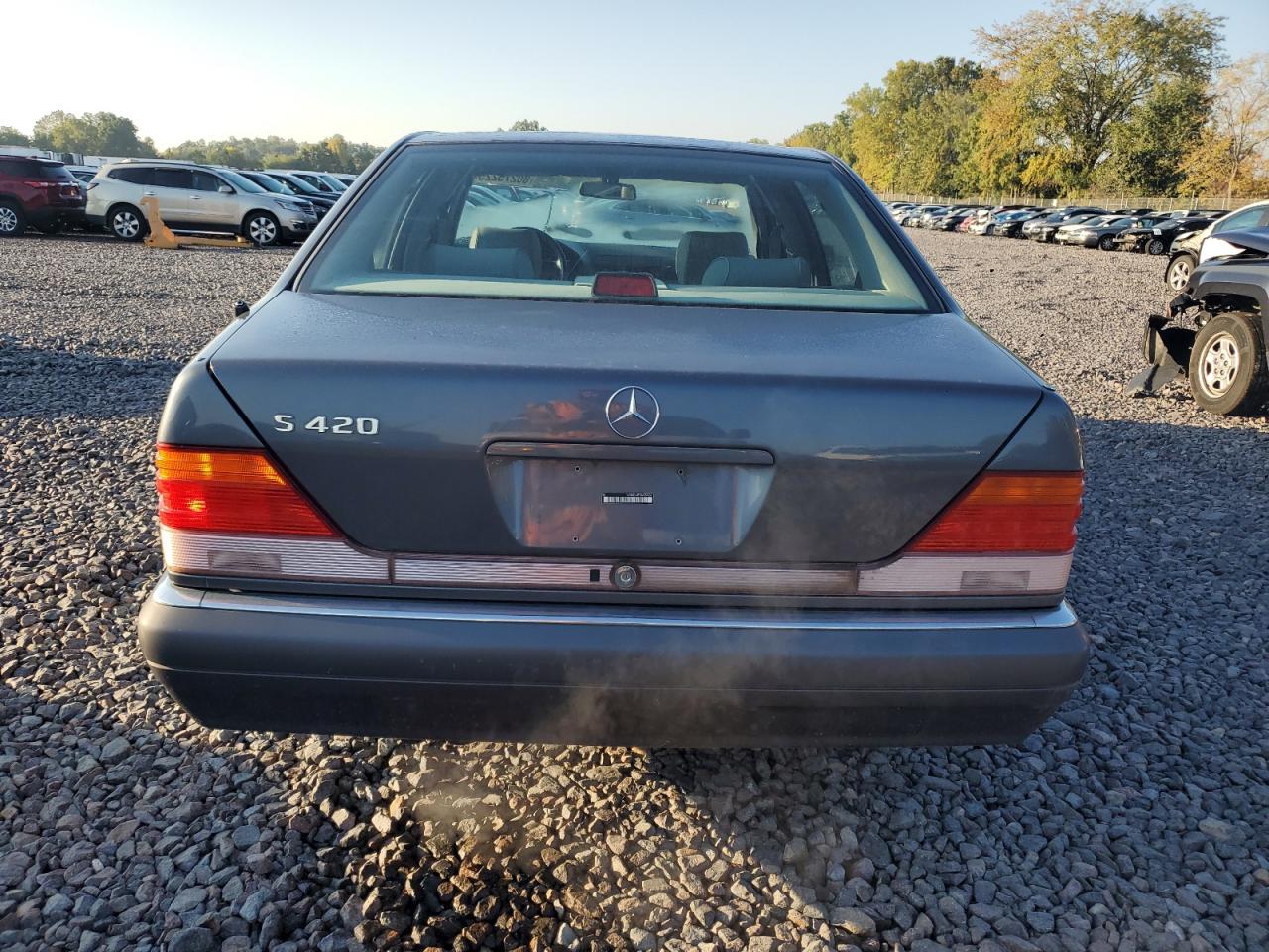 1995 Mercedes-benz S 420 Gray vin: WDBGA43E1SA238056