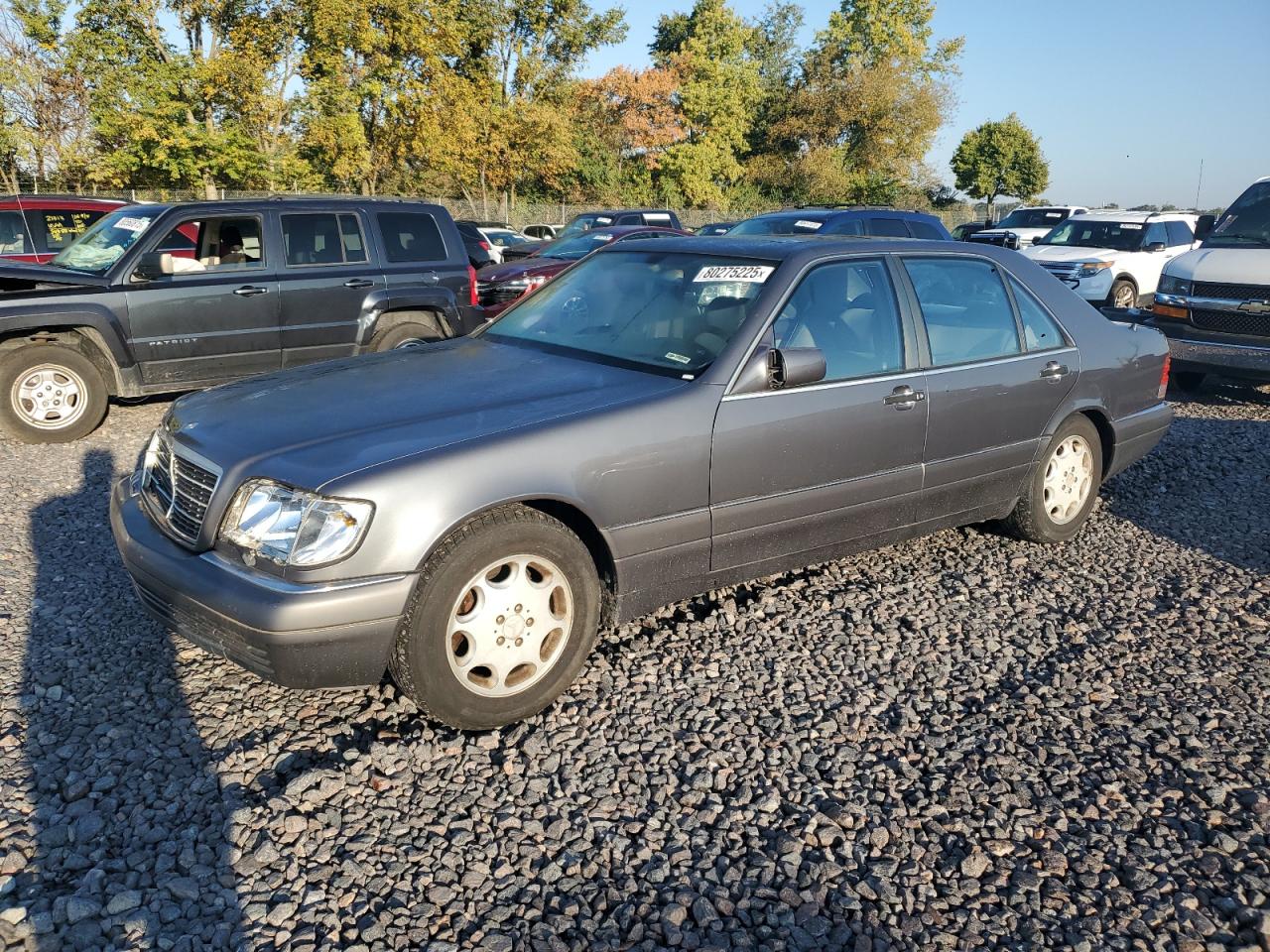 1995 Mercedes-benz S 420 Серый vin: WDBGA43E1SA238056