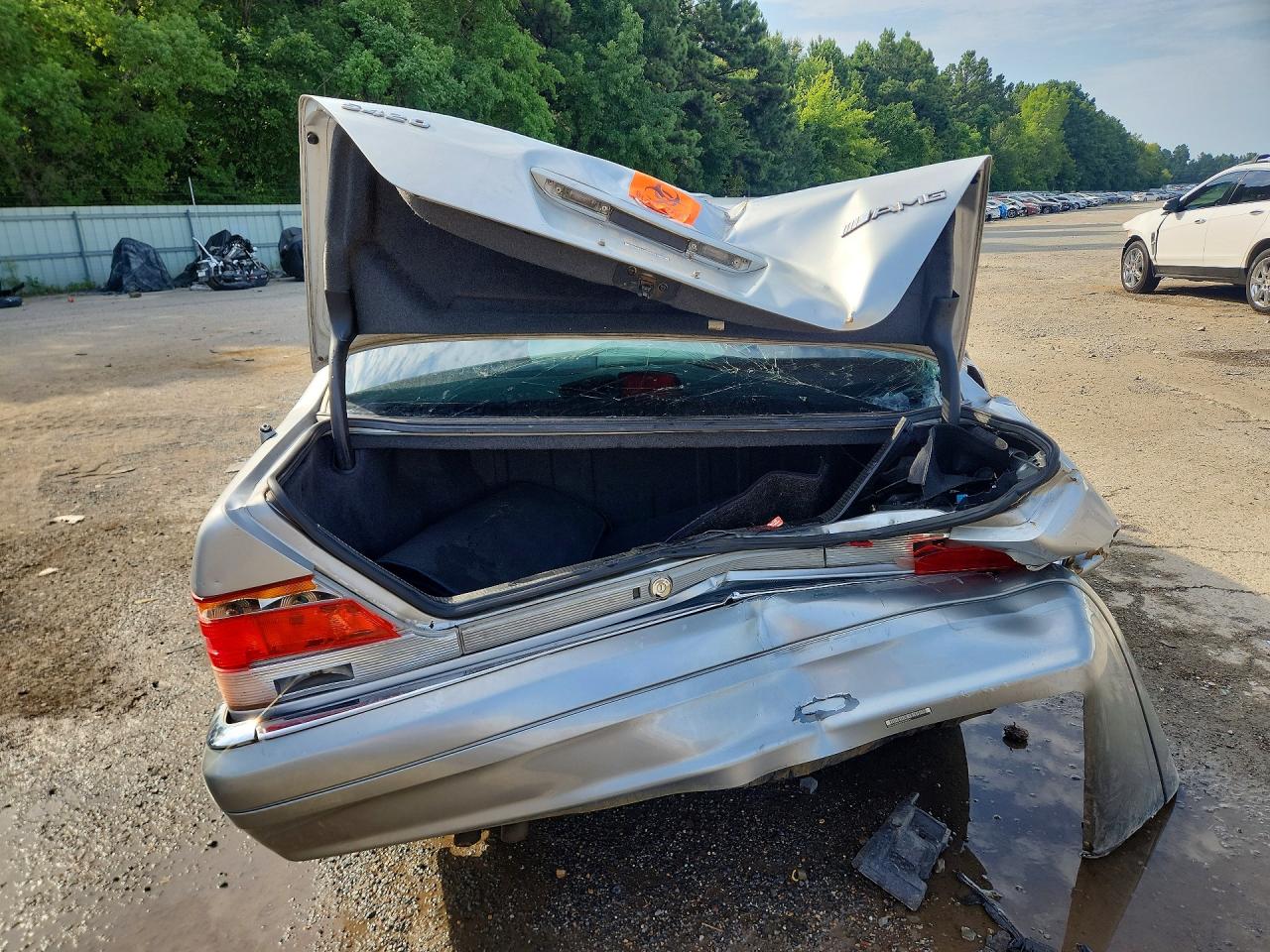1995 Mercedes-benz S 420 Silver vin: WDBGA43E4SA273240