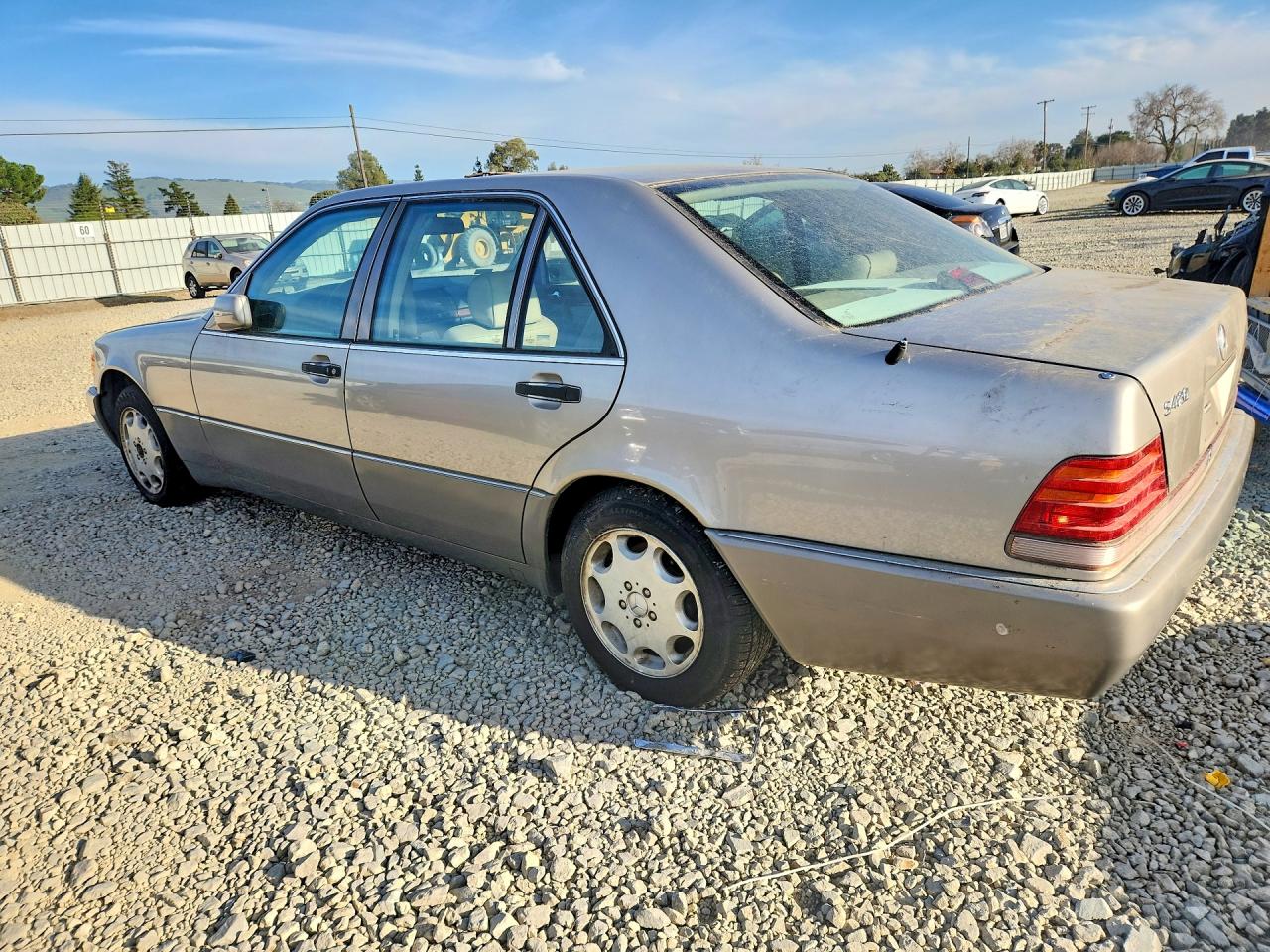 1994 Mercedes-benz S 420 Tan vin: WDBGA43E8RA155394