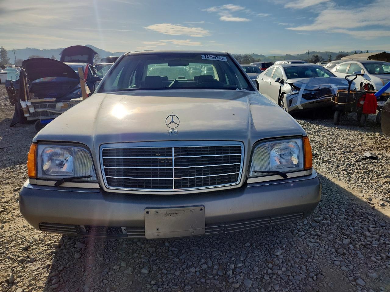1994 Mercedes-benz S 420 Tan vin: WDBGA43E8RA155394