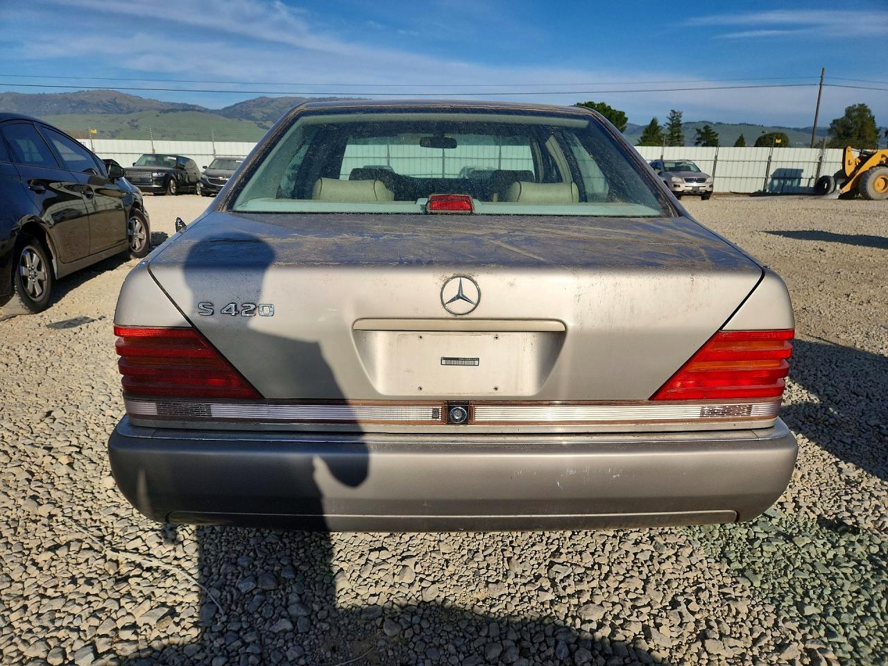 1994 Mercedes-benz S 420 Tan vin: WDBGA43E8RA155394