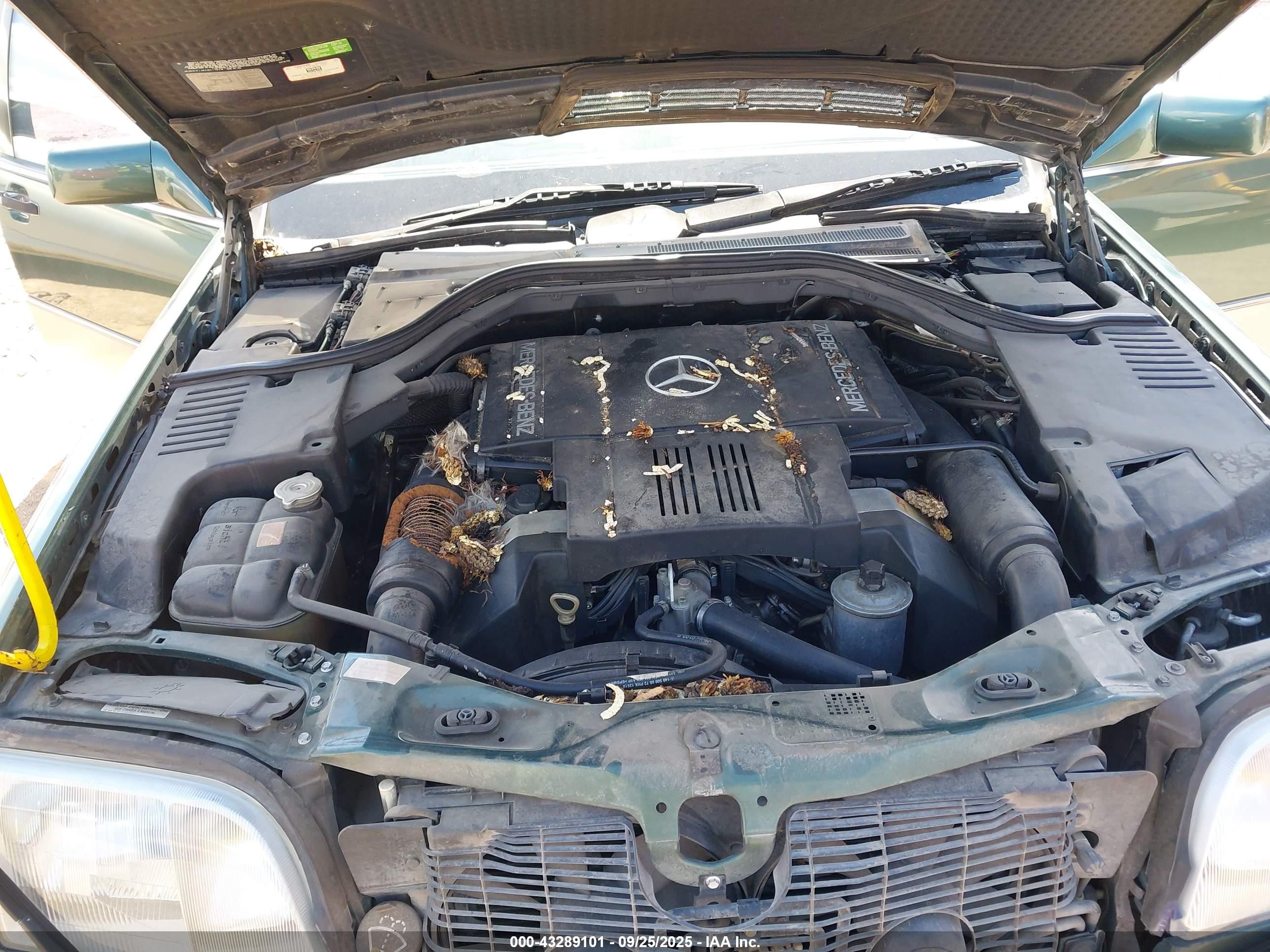 1993 Mercedes-benz 500 Sel Green vin: WDBGA51E9PA112446