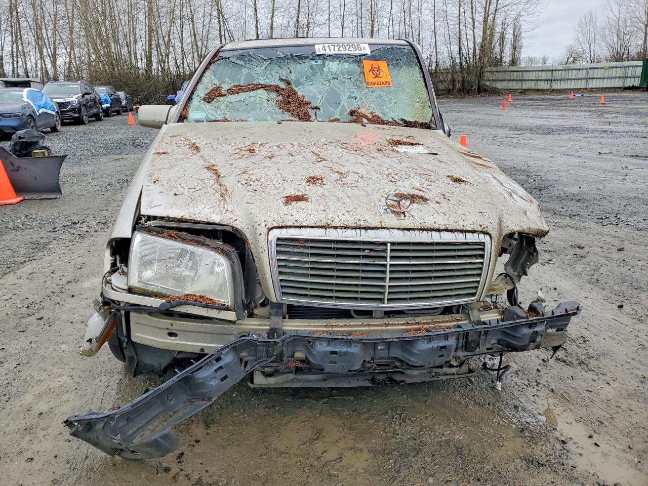 1999 Mercedes-benz C 280 Gold vin: WDBHA29G4XA706192