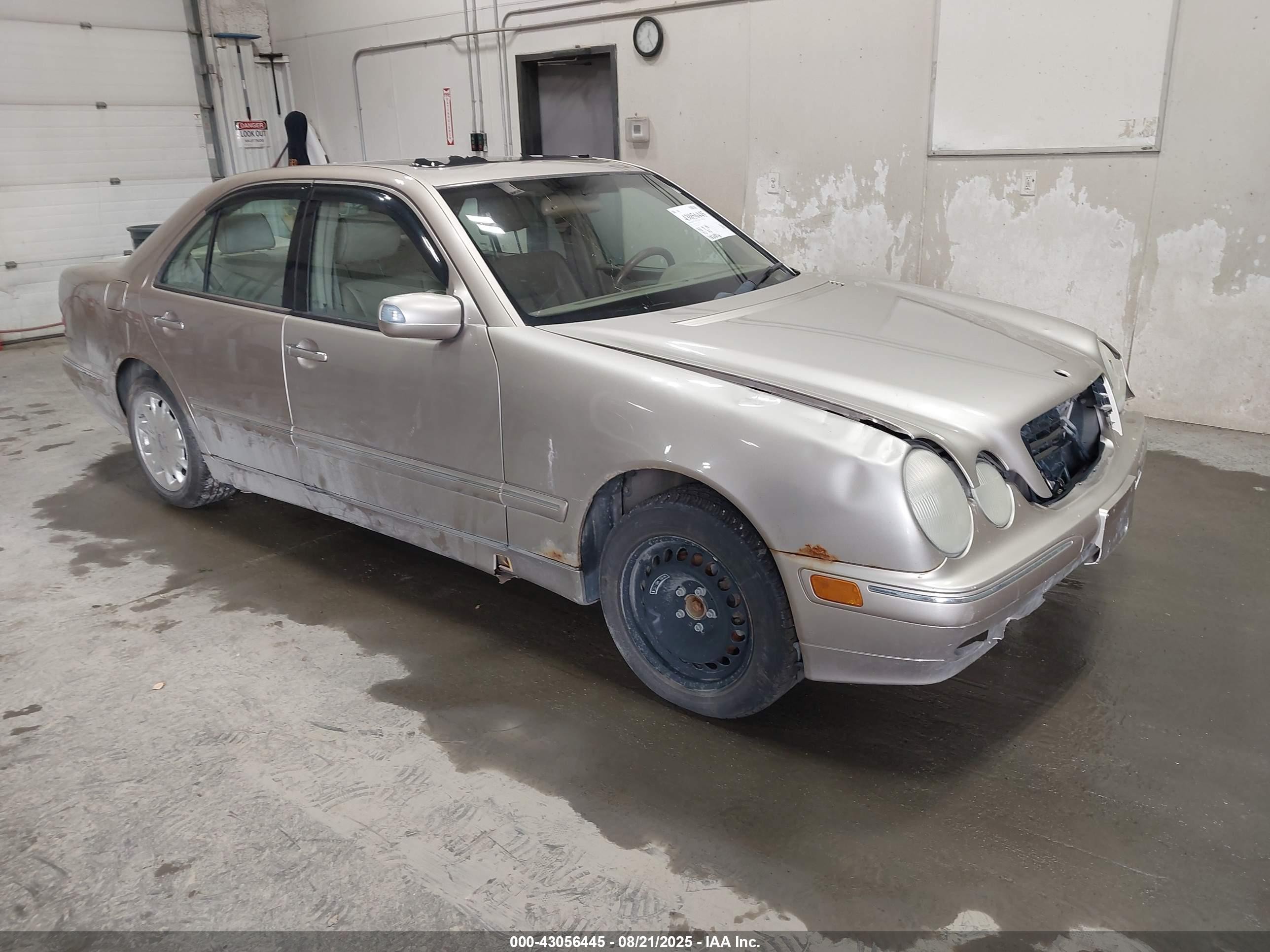WDBJF82J72X069252
