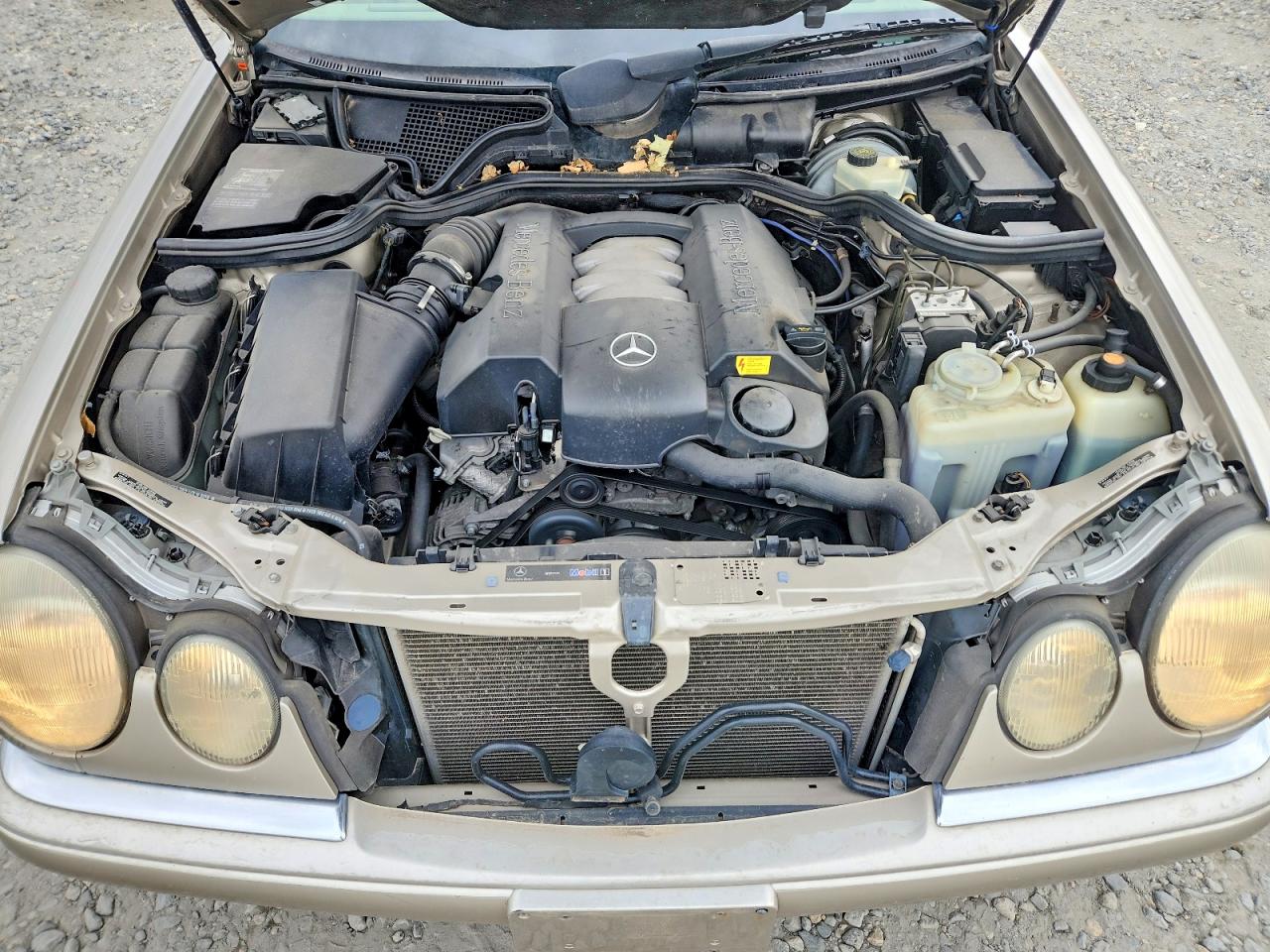 1999 Mercedes-benz E 320 4matic Gold vin: WDBJH82F0XX023596