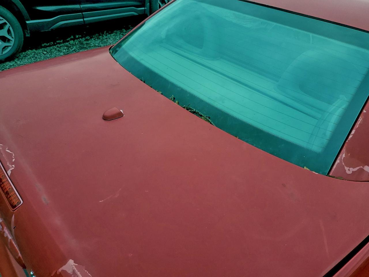 2001 Mercedes-benz Slk 230 Kompressor Red vin: WDBKK49F01F196276