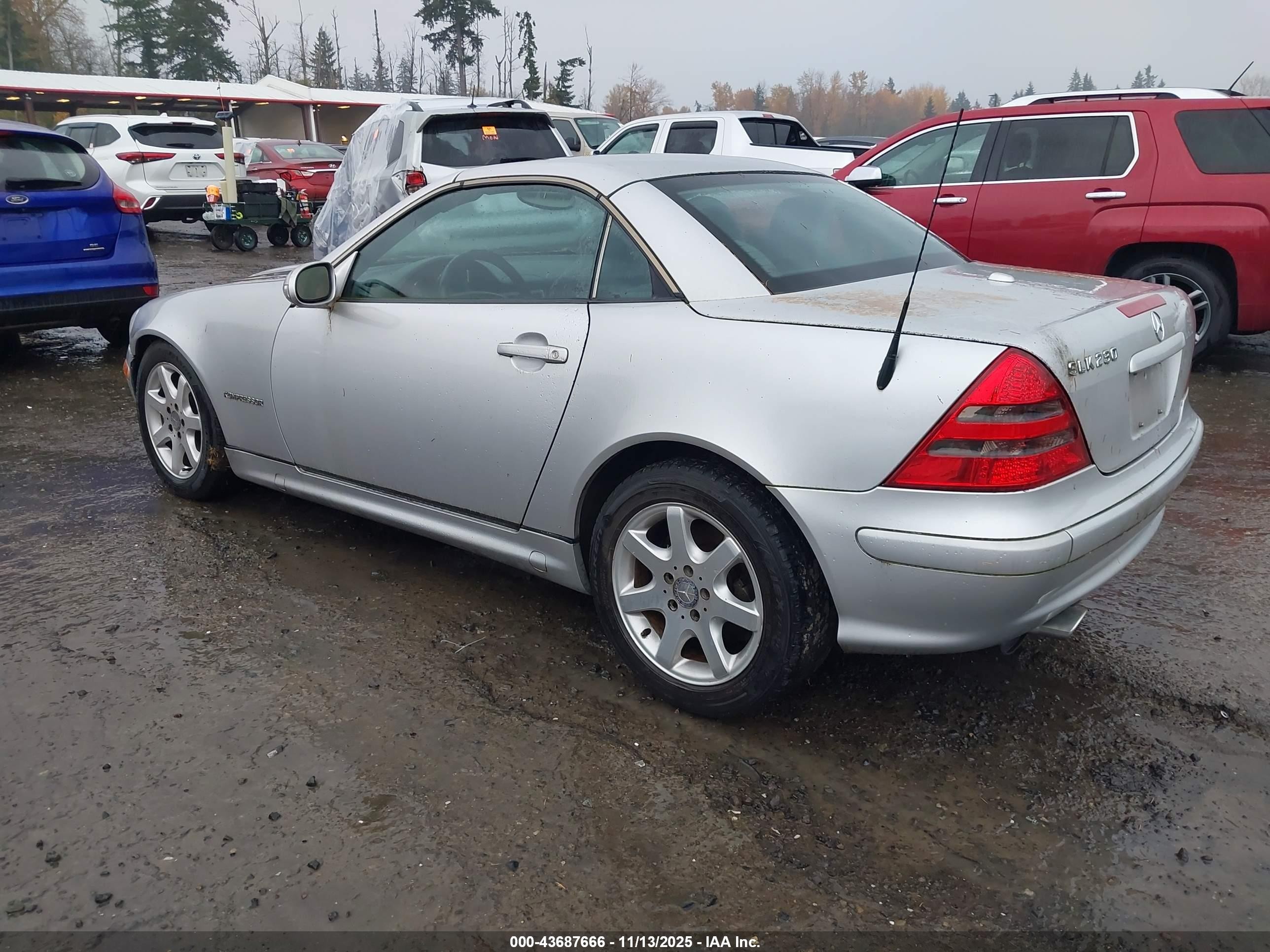 2001 Mercedes-benz Slk 230 Kompressor Silver vin: WDBKK49F91F193795