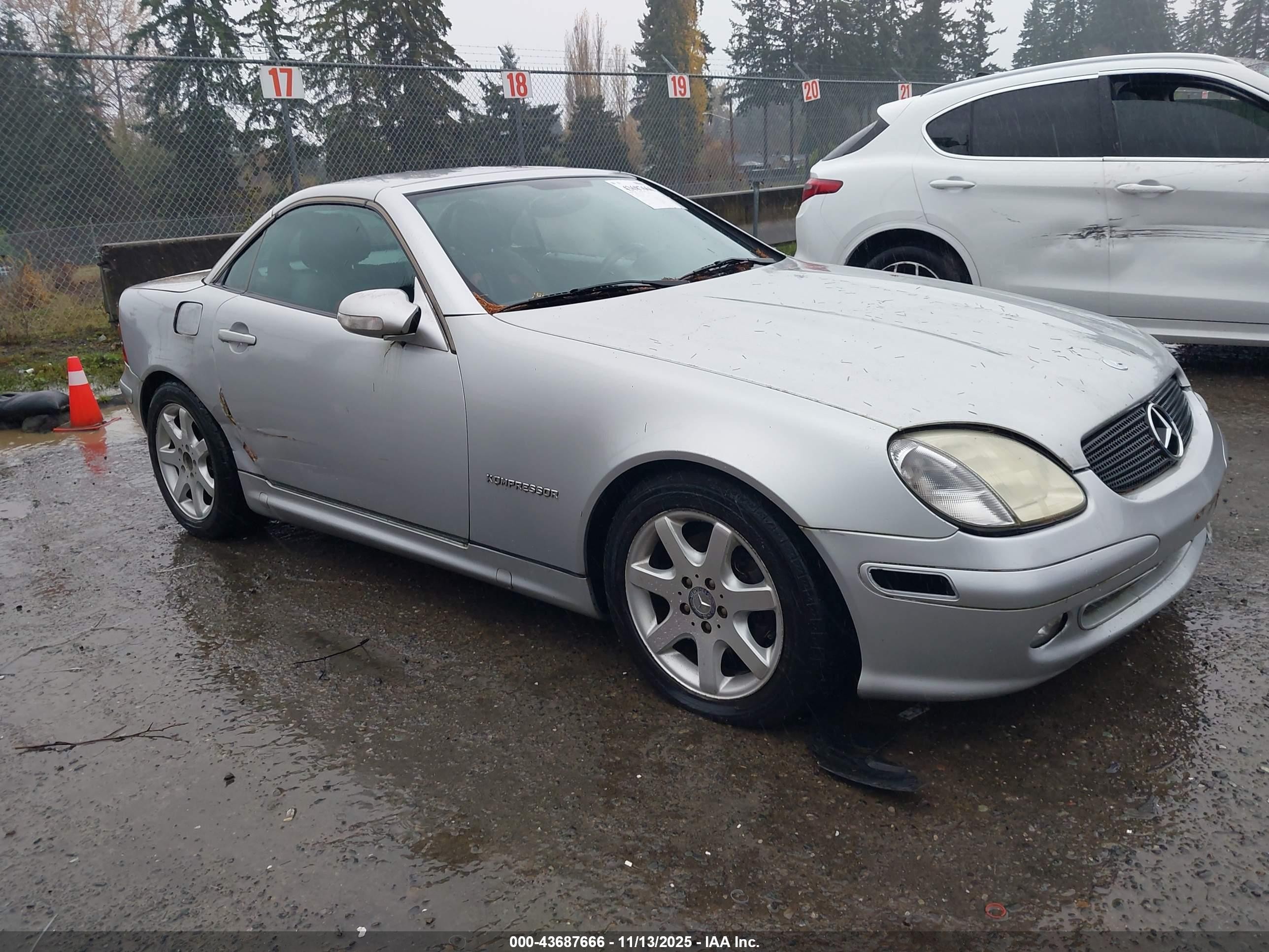 2001 Mercedes-benz Slk 230 Kompressor Silver vin: WDBKK49F91F193795