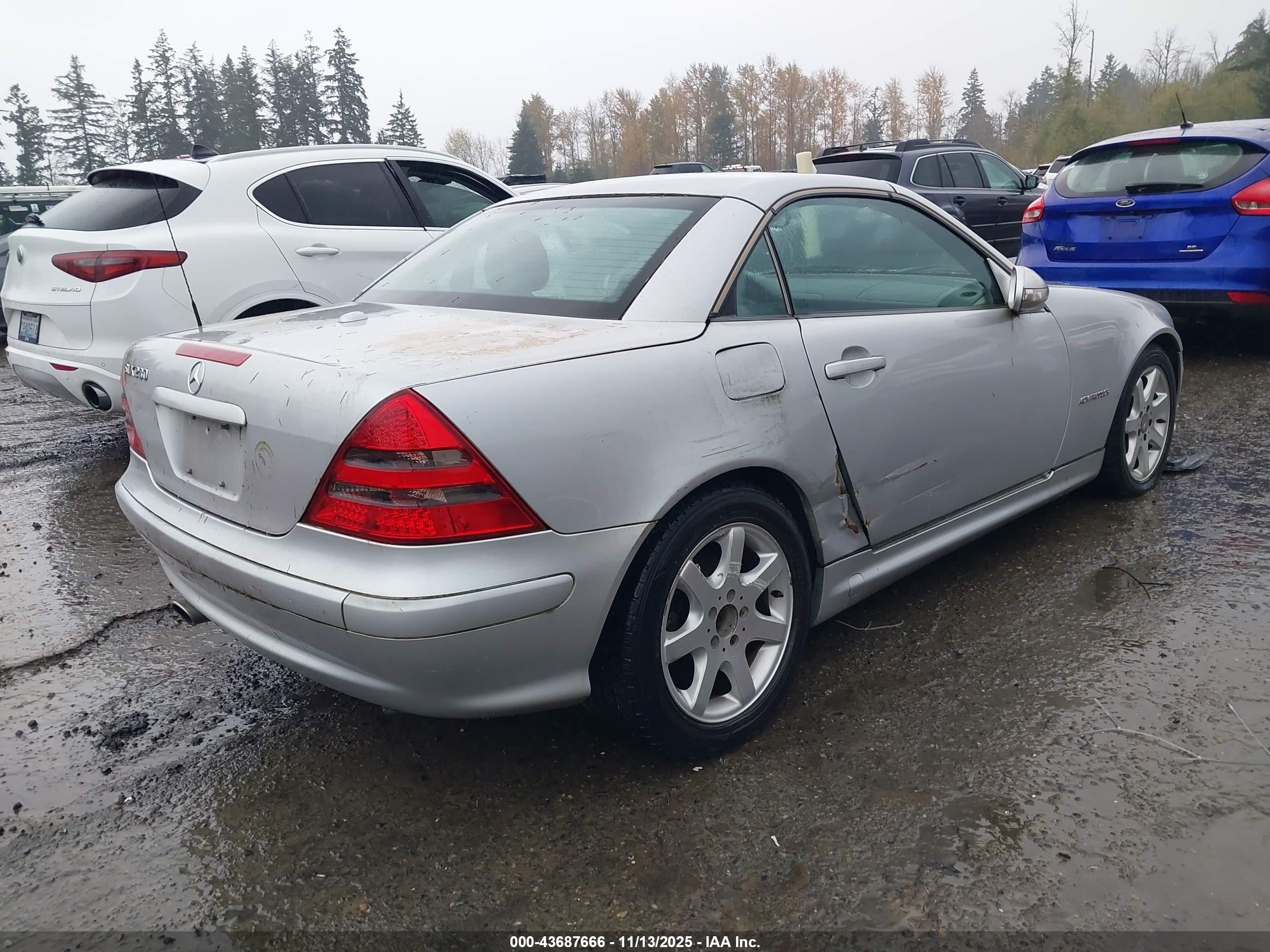 2001 Mercedes-benz Slk 230 Kompressor Silver vin: WDBKK49F91F193795