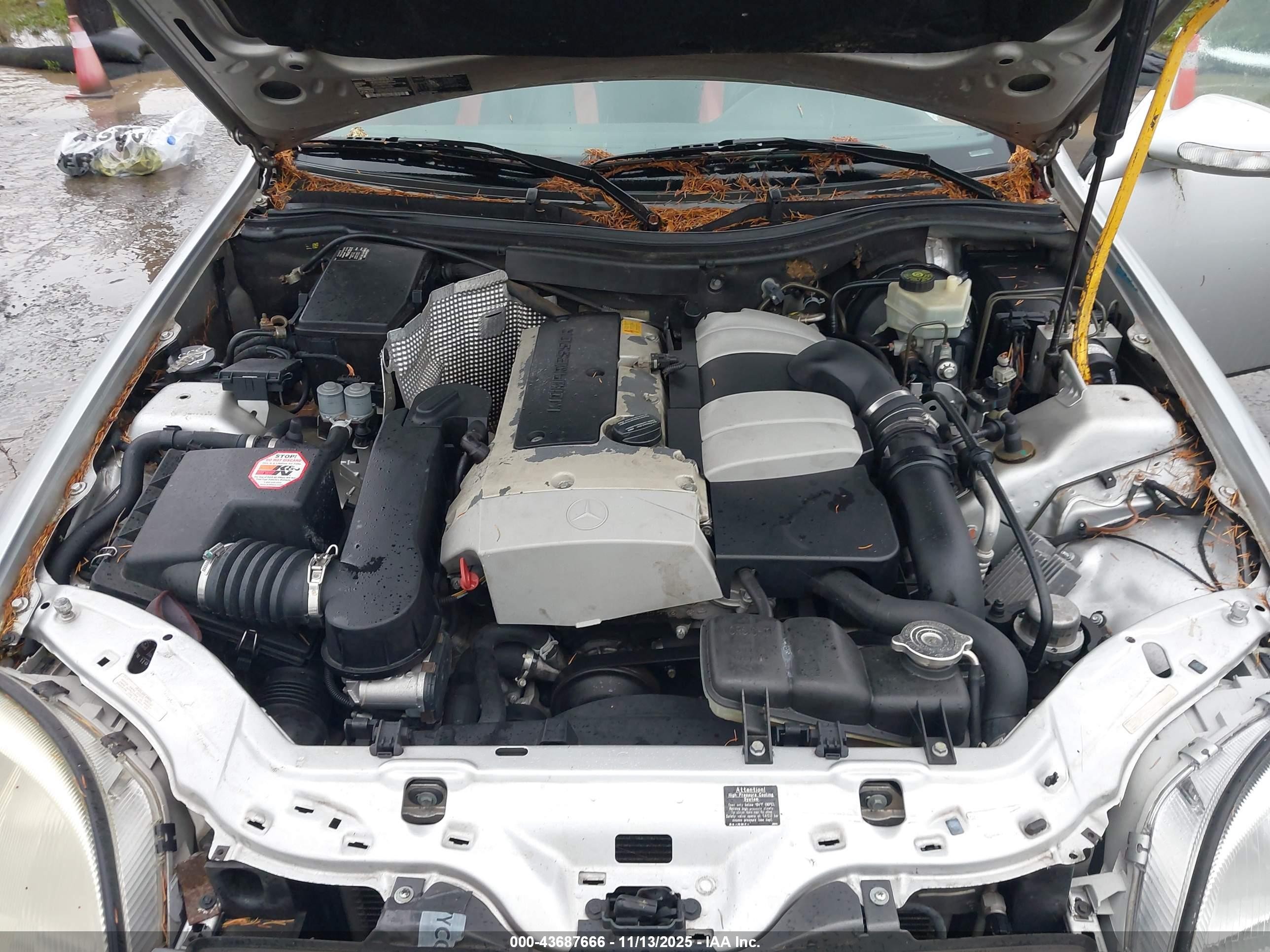 2001 Mercedes-benz Slk 230 Kompressor Silver vin: WDBKK49F91F193795