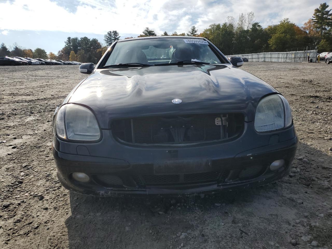 2004 Mercedes-benz Slk 320 Black vin: WDBKK65F74F307265