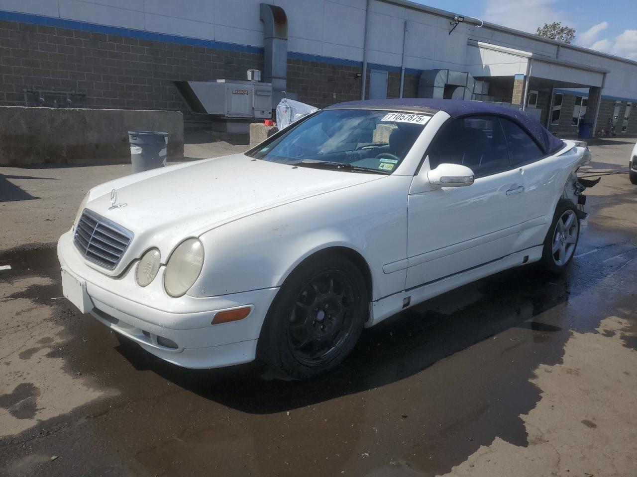 2003 Mercedes-benz Clk 320 Белый vin: WDBLK65GX3T143961