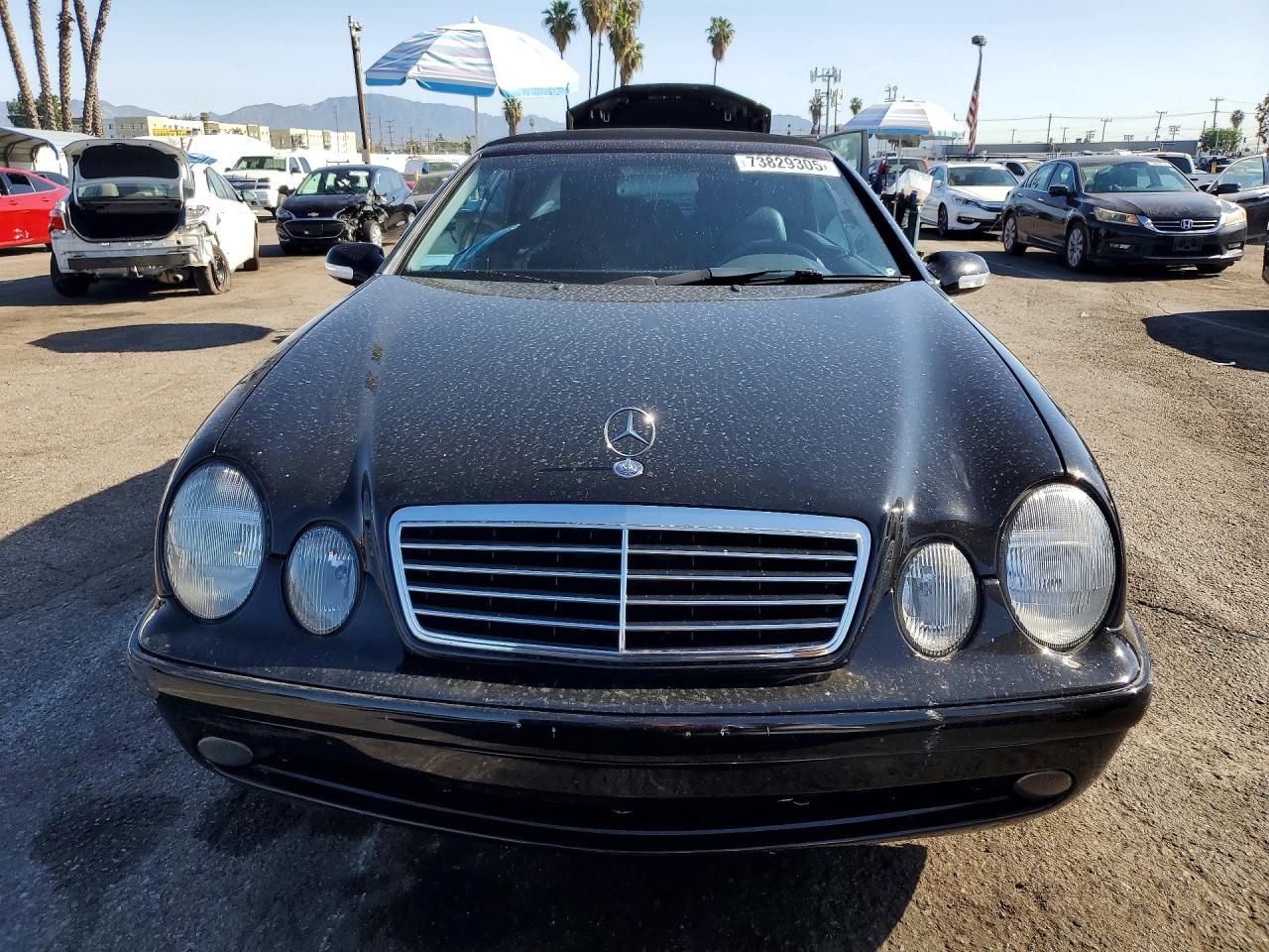 2003 Mercedes-benz Clk 430 Black vin: WDBLK70G23T131865