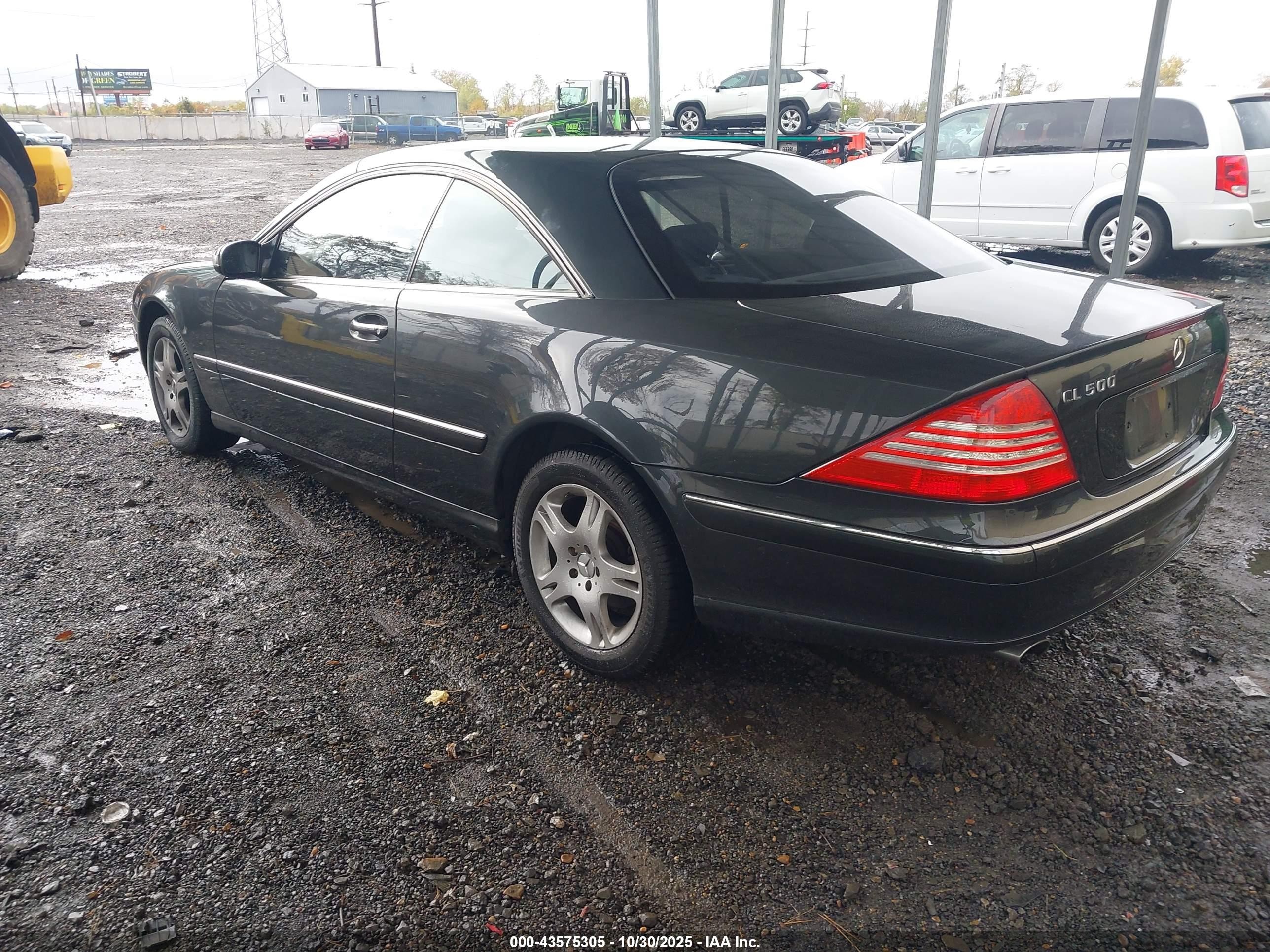 2004 Mercedes-benz Cl 500   Gray vin: WDBPJ75J14A039782