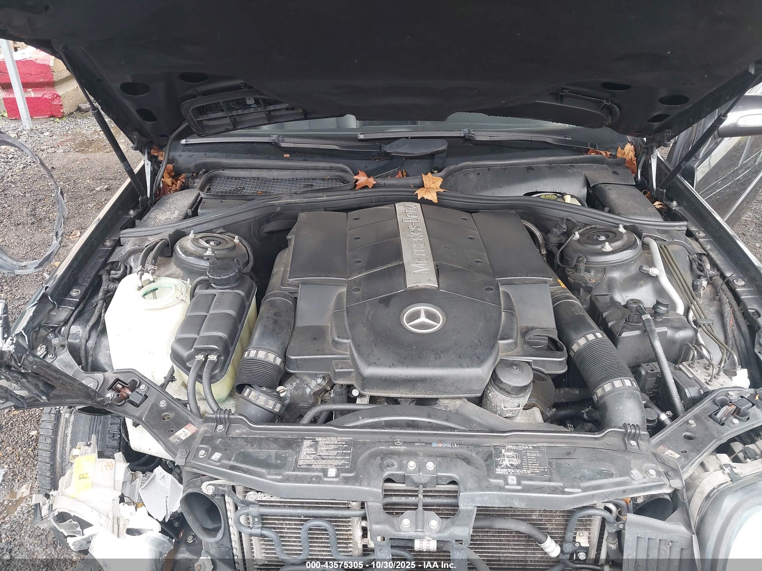 2004 Mercedes-benz Cl 500   Gray vin: WDBPJ75J14A039782